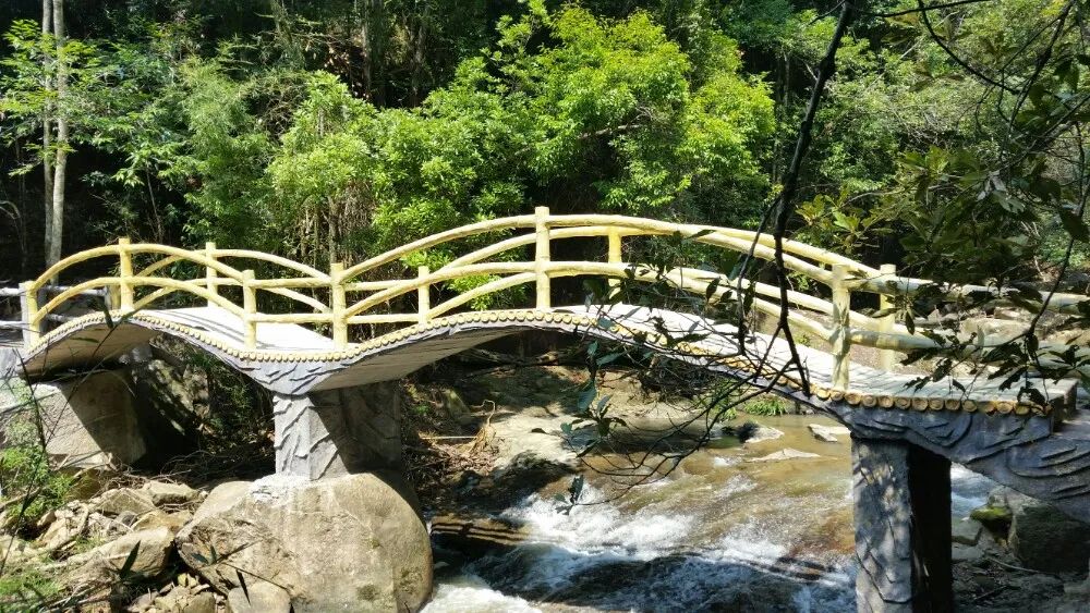 上举相思谷风景区旅行图片