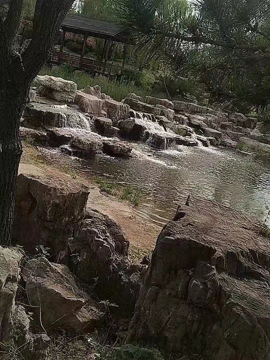 费县奇石文化公园旅行图片