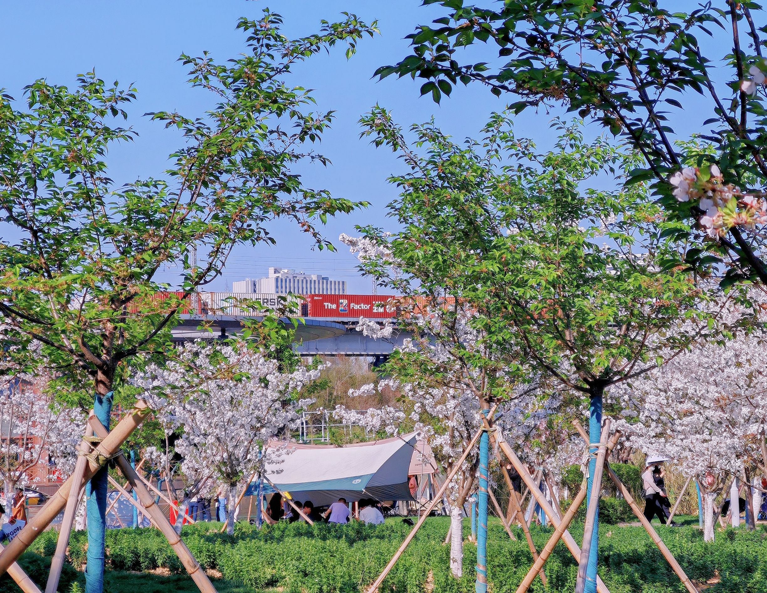 宁波植物园