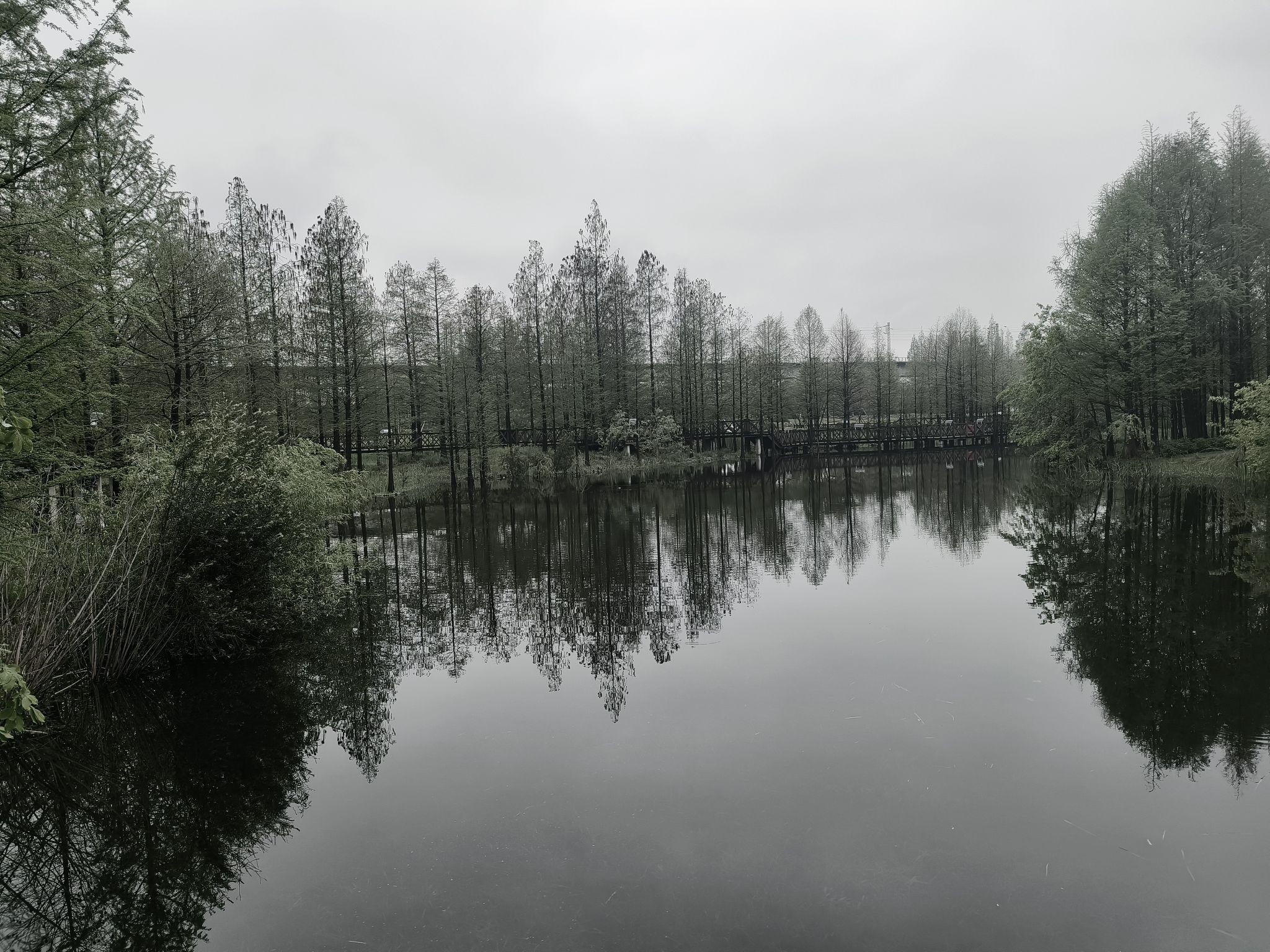 宁波植物园旅行图片