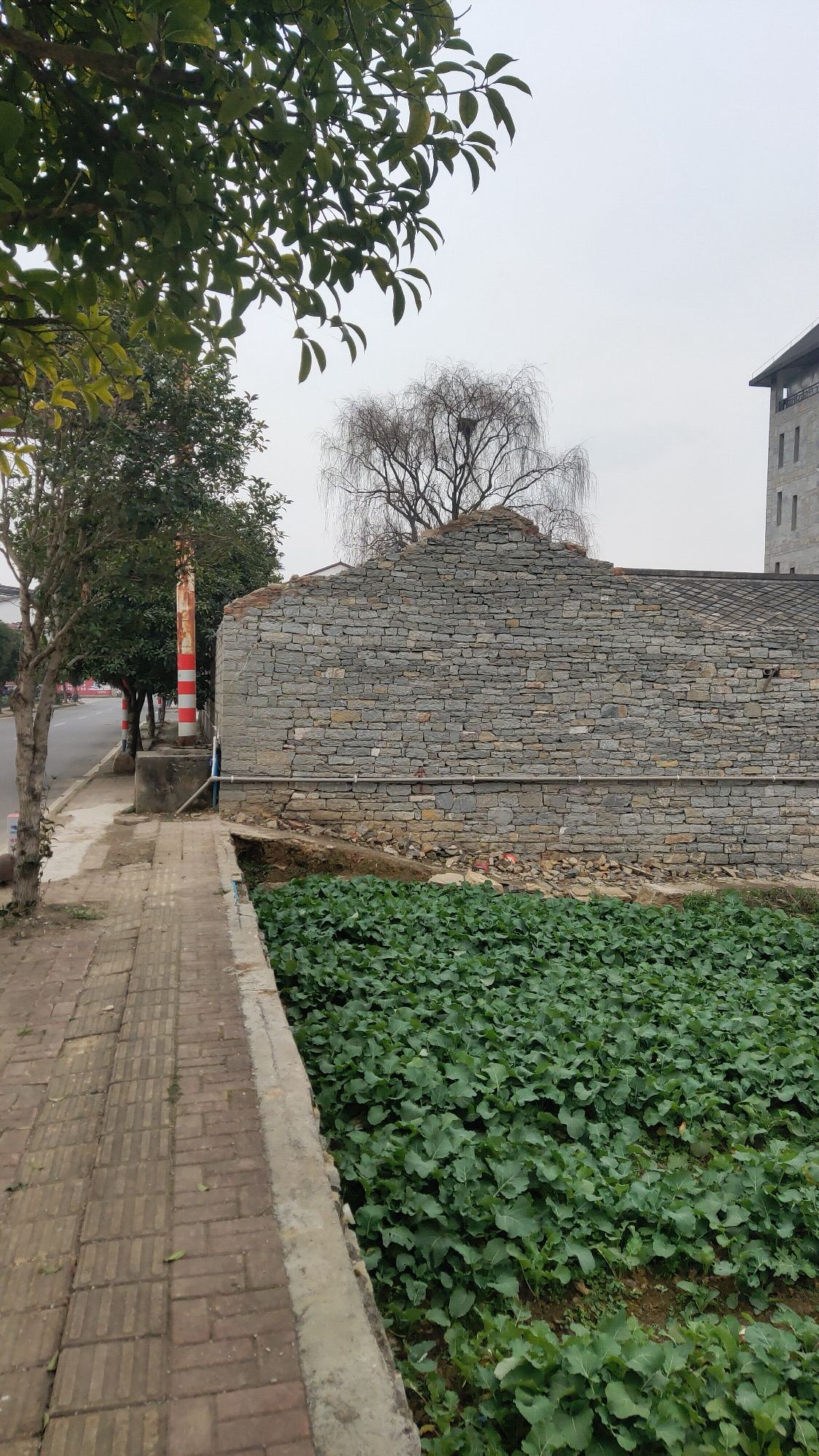 云峰八寨