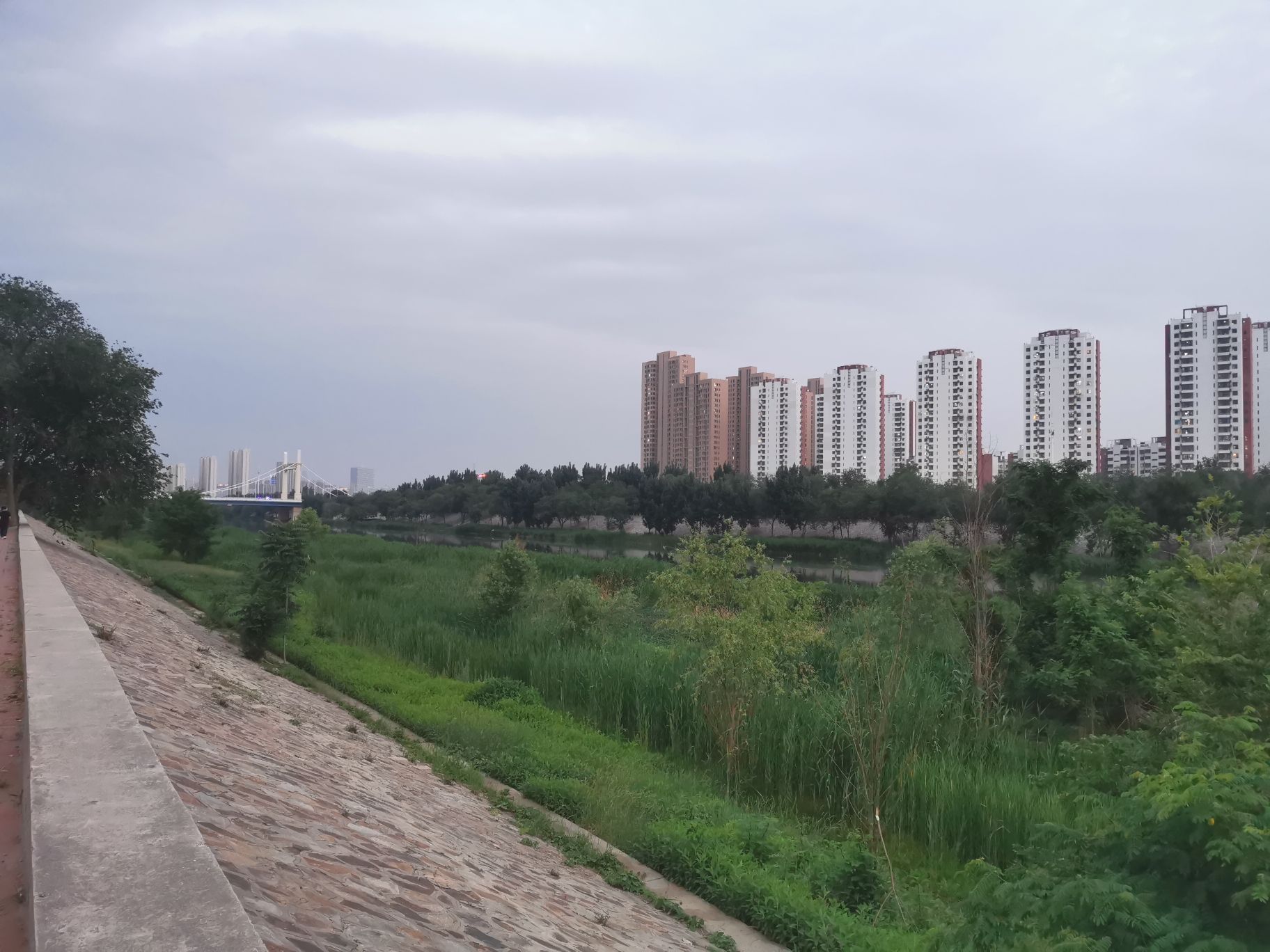 子牙河堤岸公园