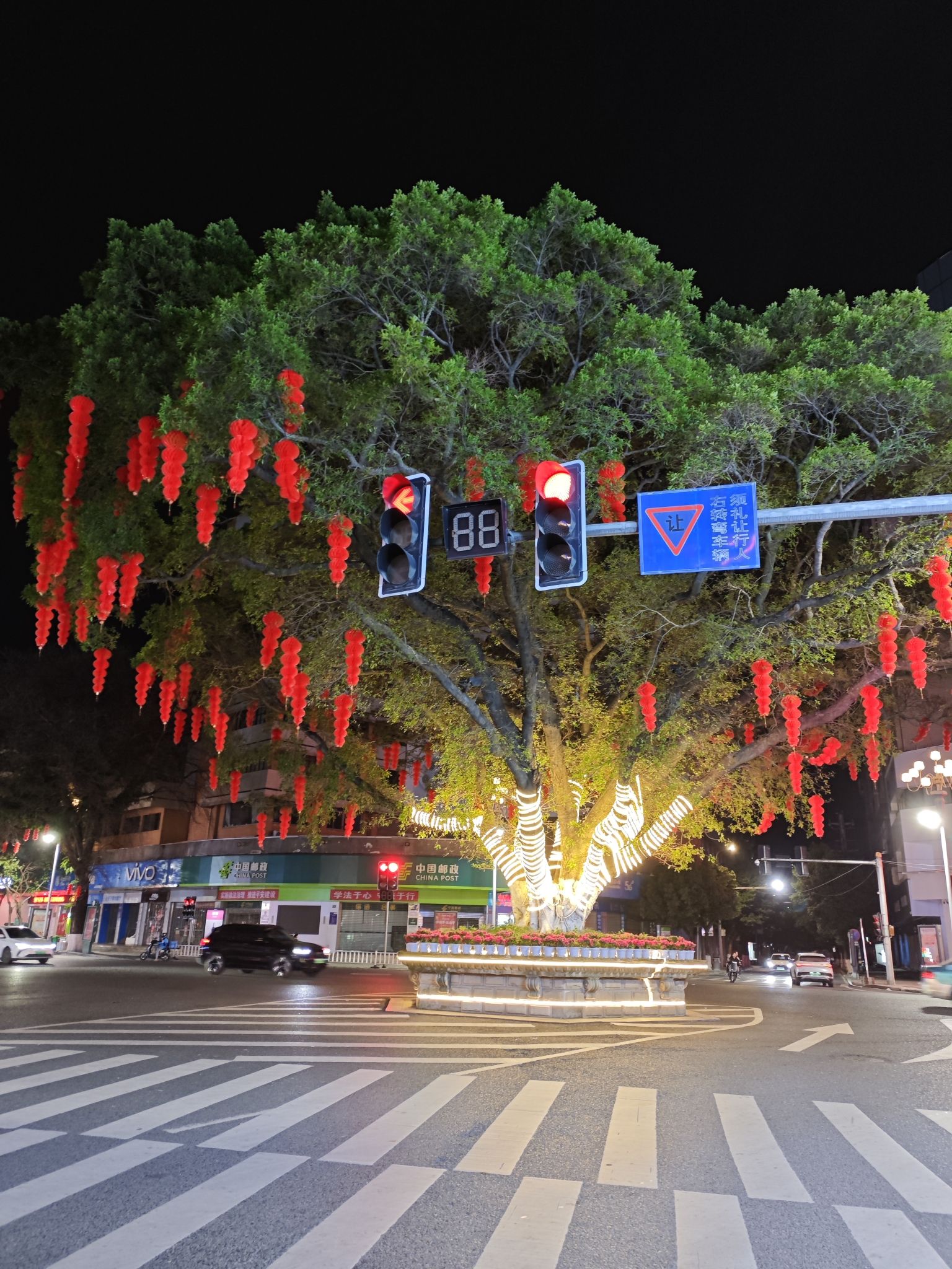 大榕树