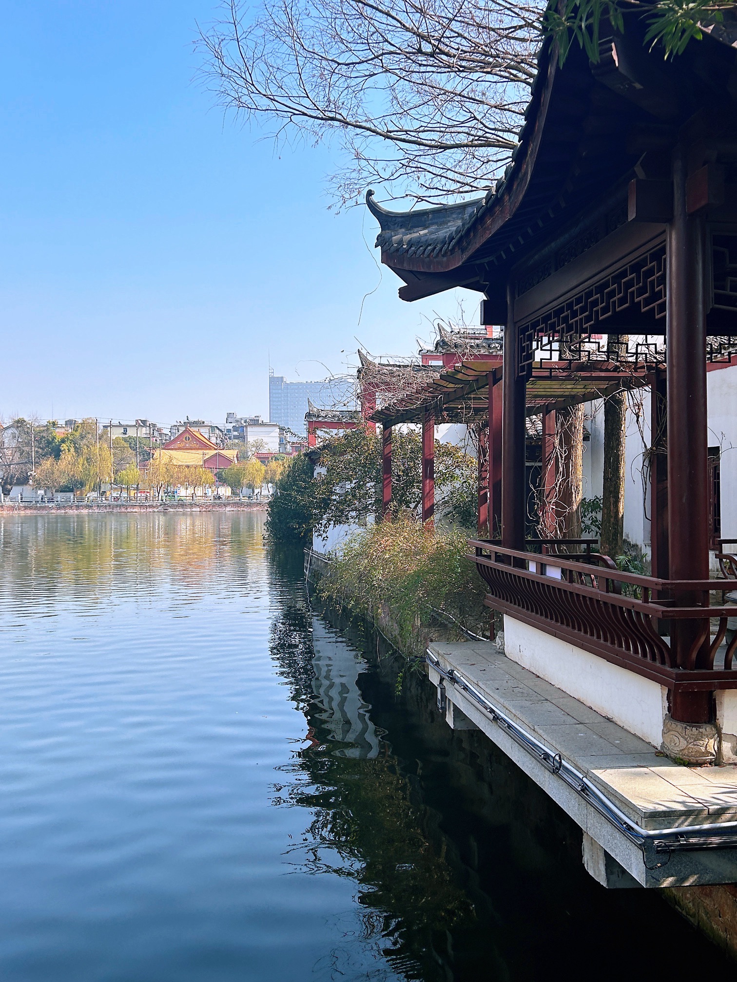 百花洲旅行图片