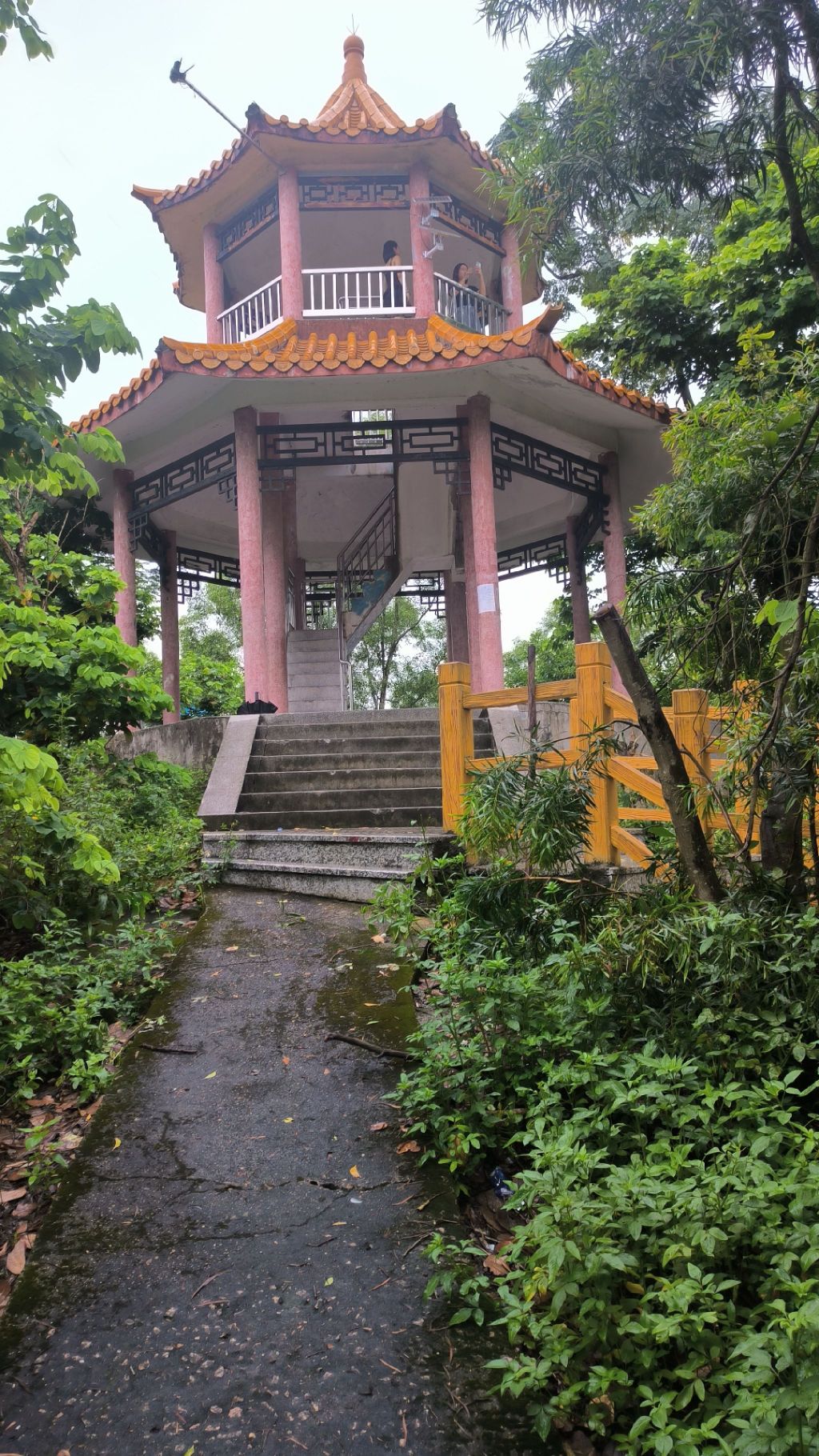 麒麟山森林公园旅行图片