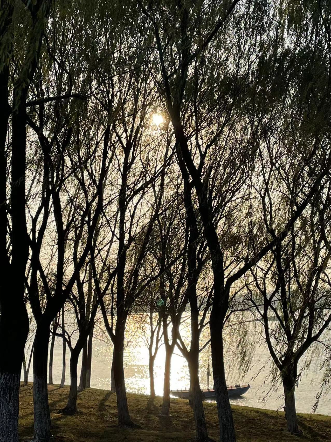 滨江生态公园旅行图片