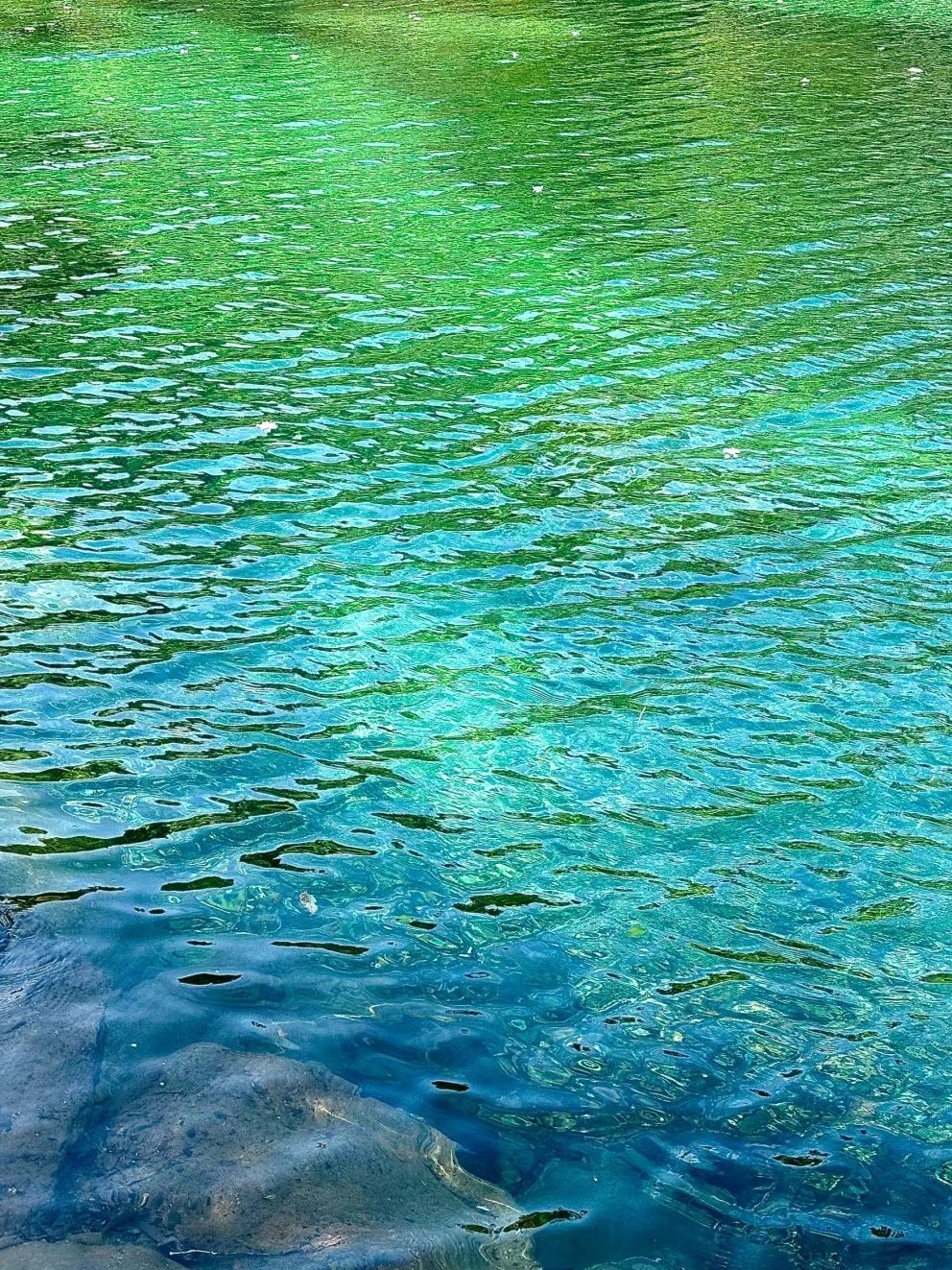 石台县牯牛降景区