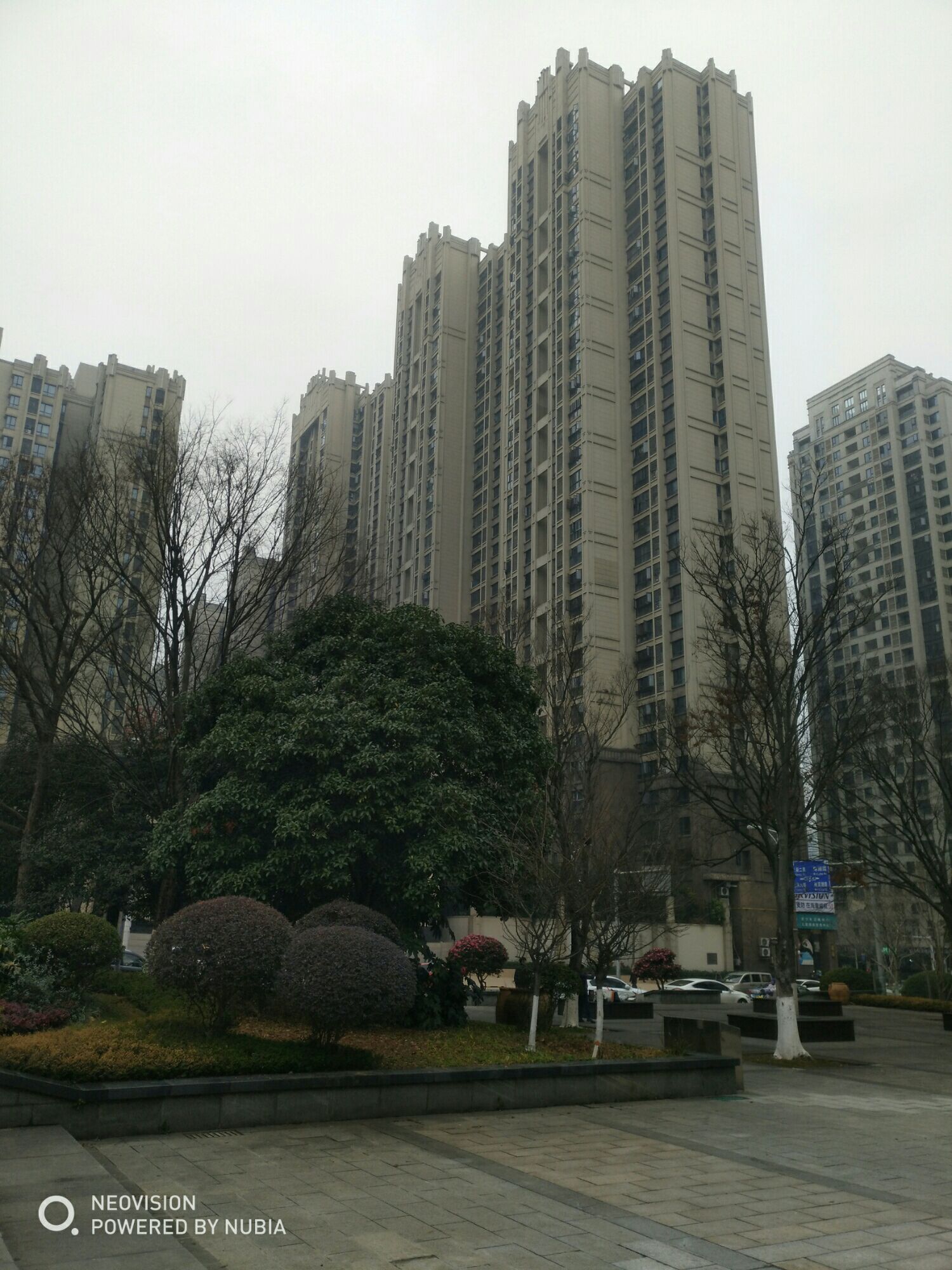 中央绿轴