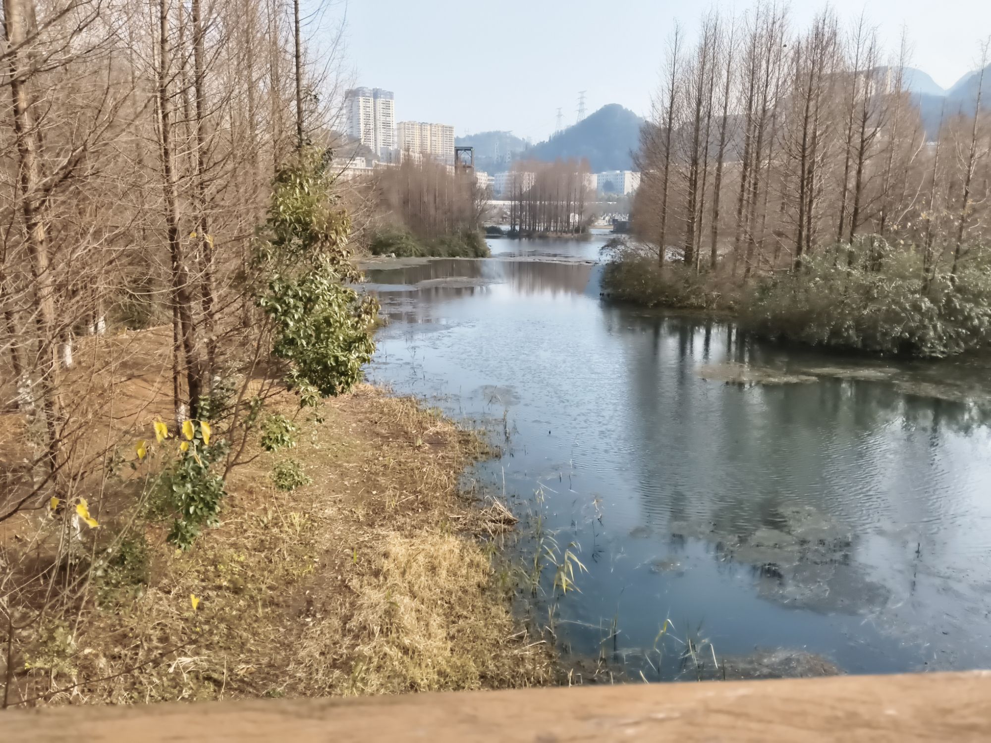 明湖国家湿地公园旅行图片