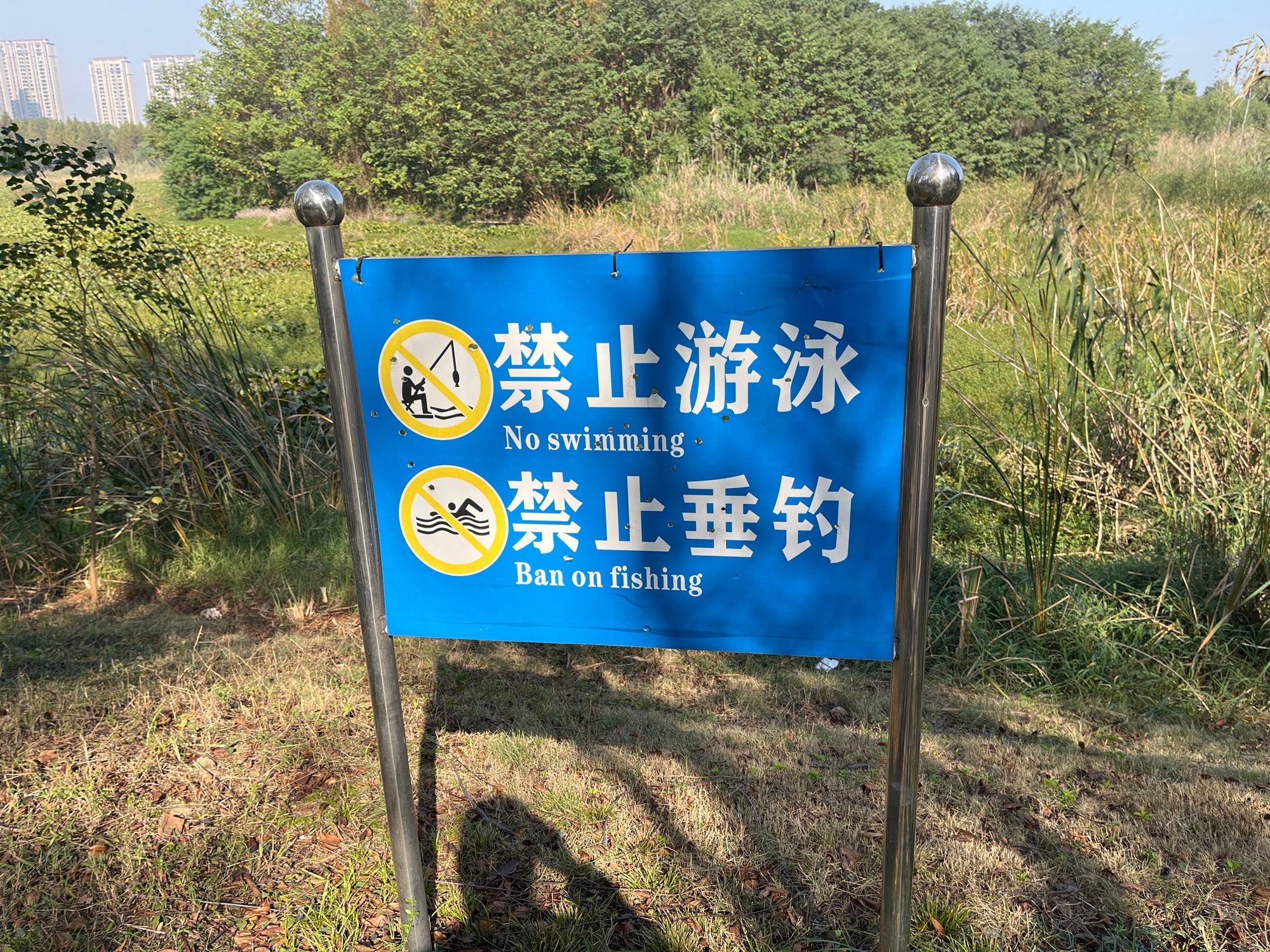 东湖湿地公园