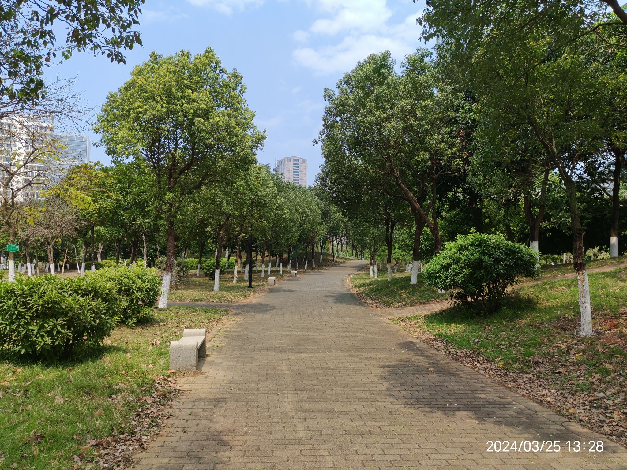 海口西海岸挺秀公园旅行图片