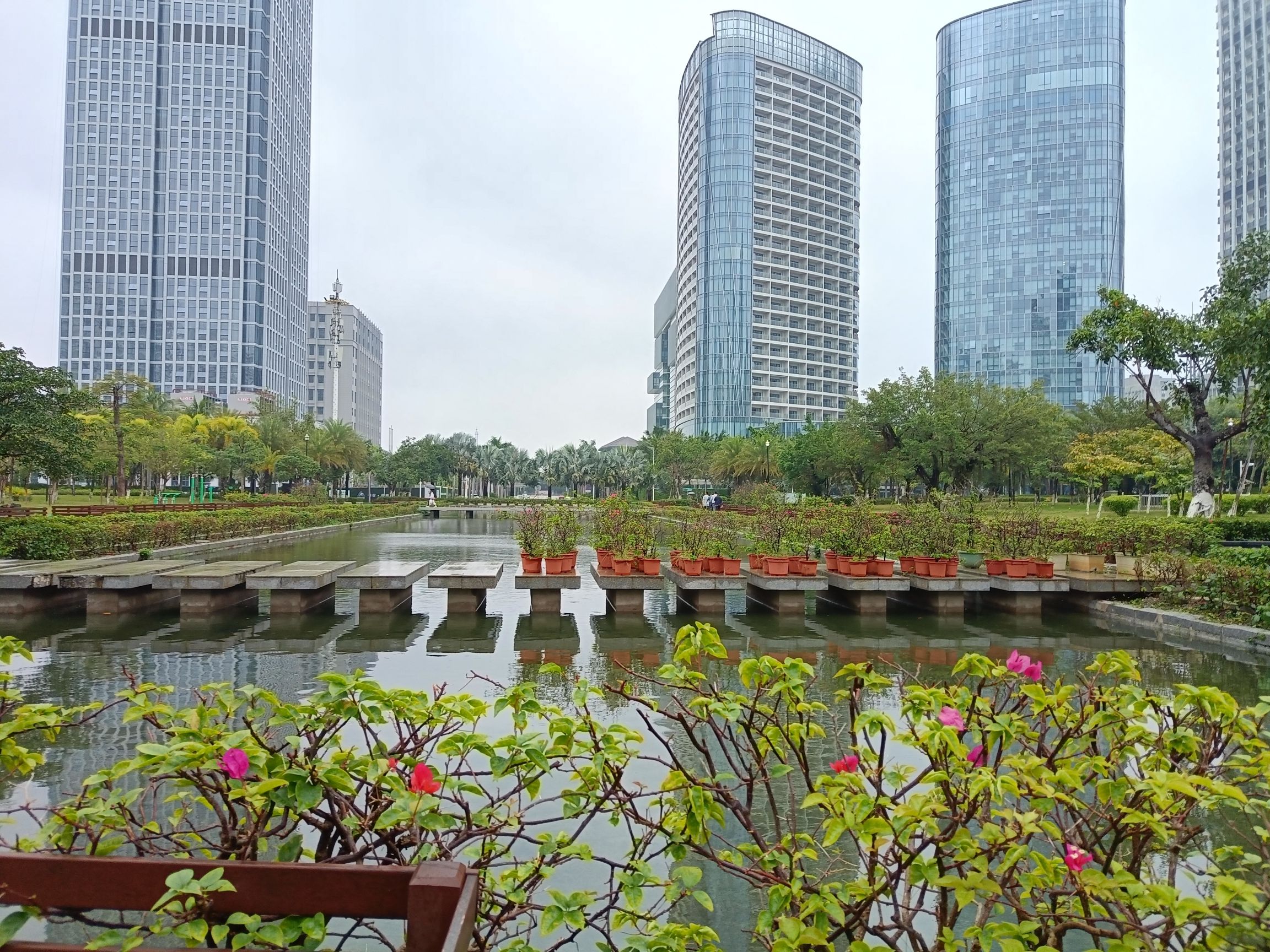 海口西海岸挺秀公园旅行图片