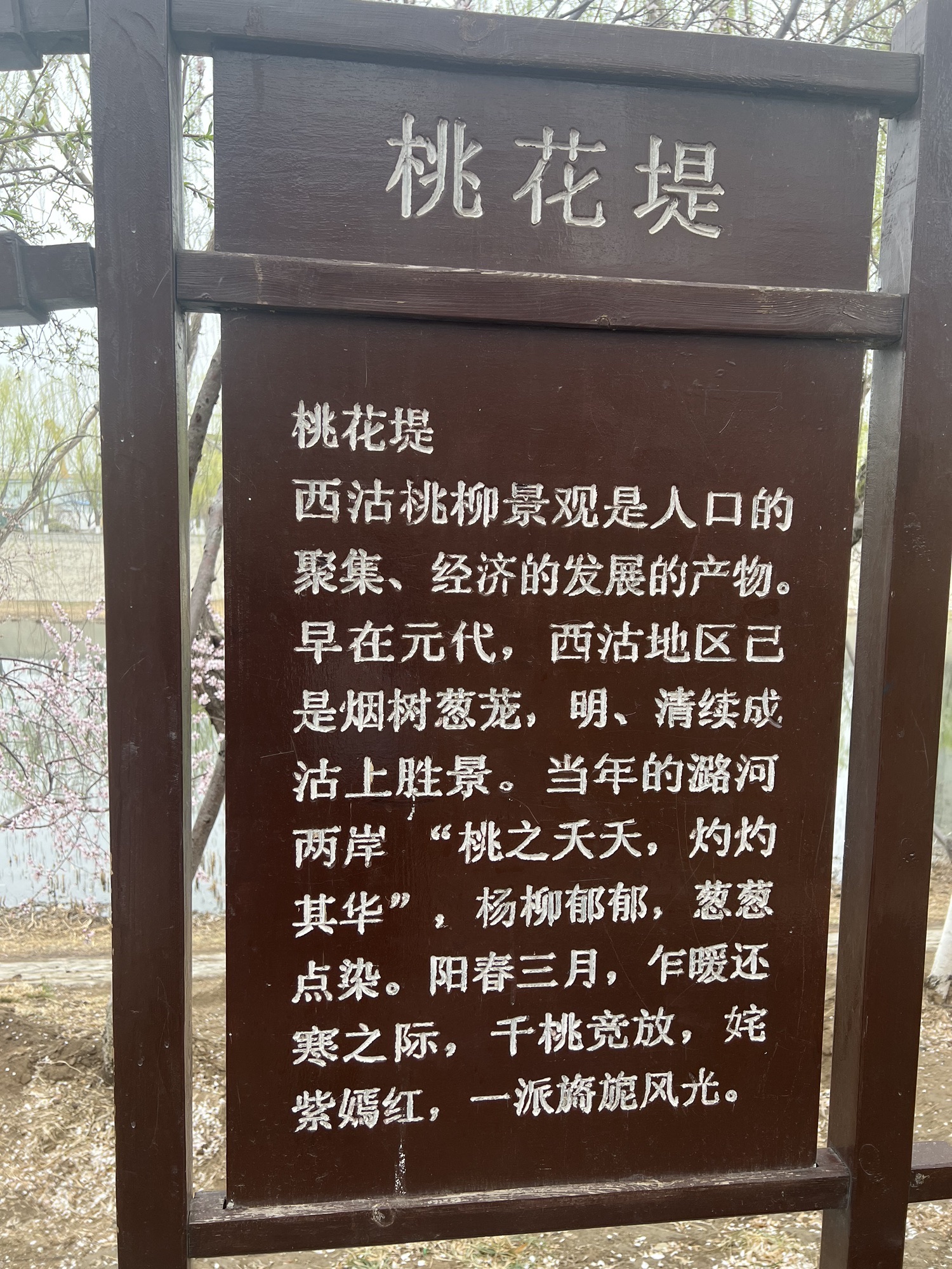 桃花园旅行图片