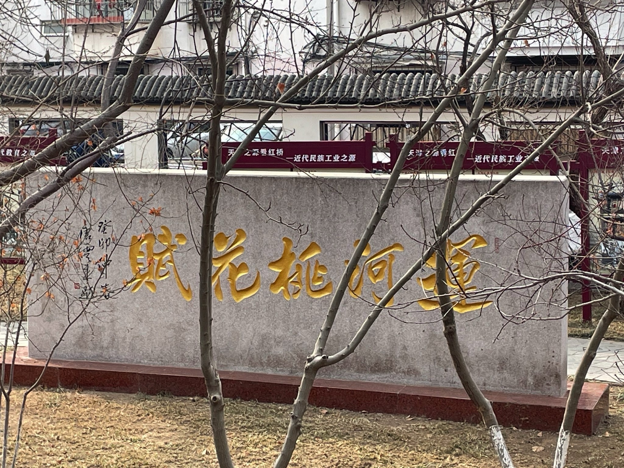 桃花园旅行图片