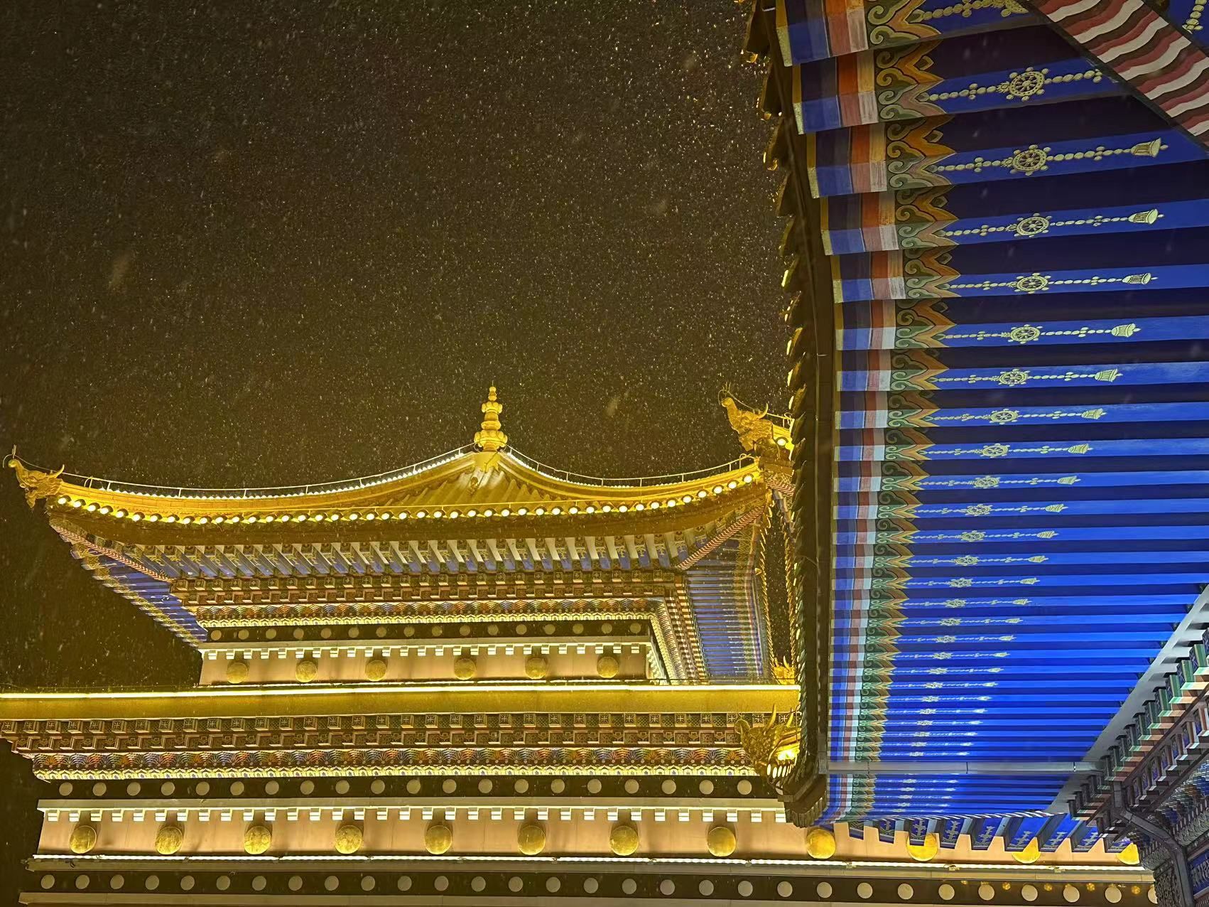 颐和生态文化博览园旅行图片