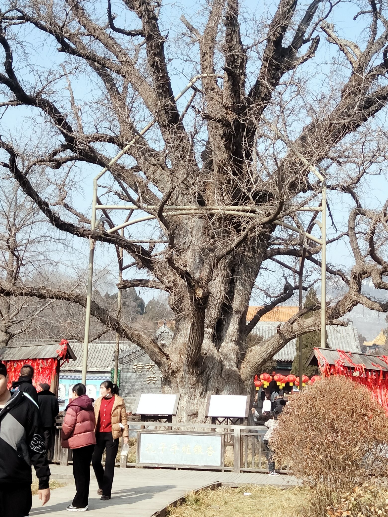 泗水仲庙