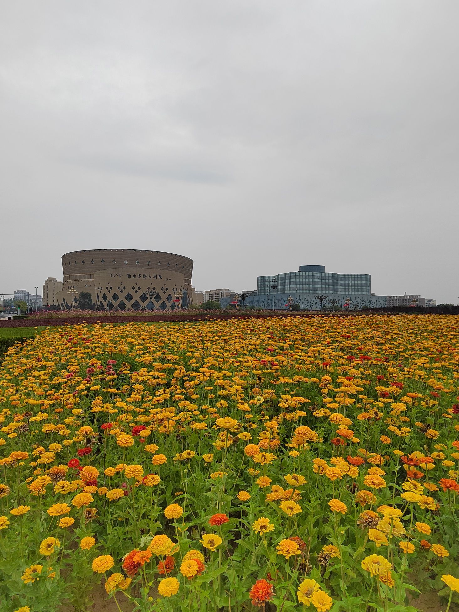 太阳广场旅行图片