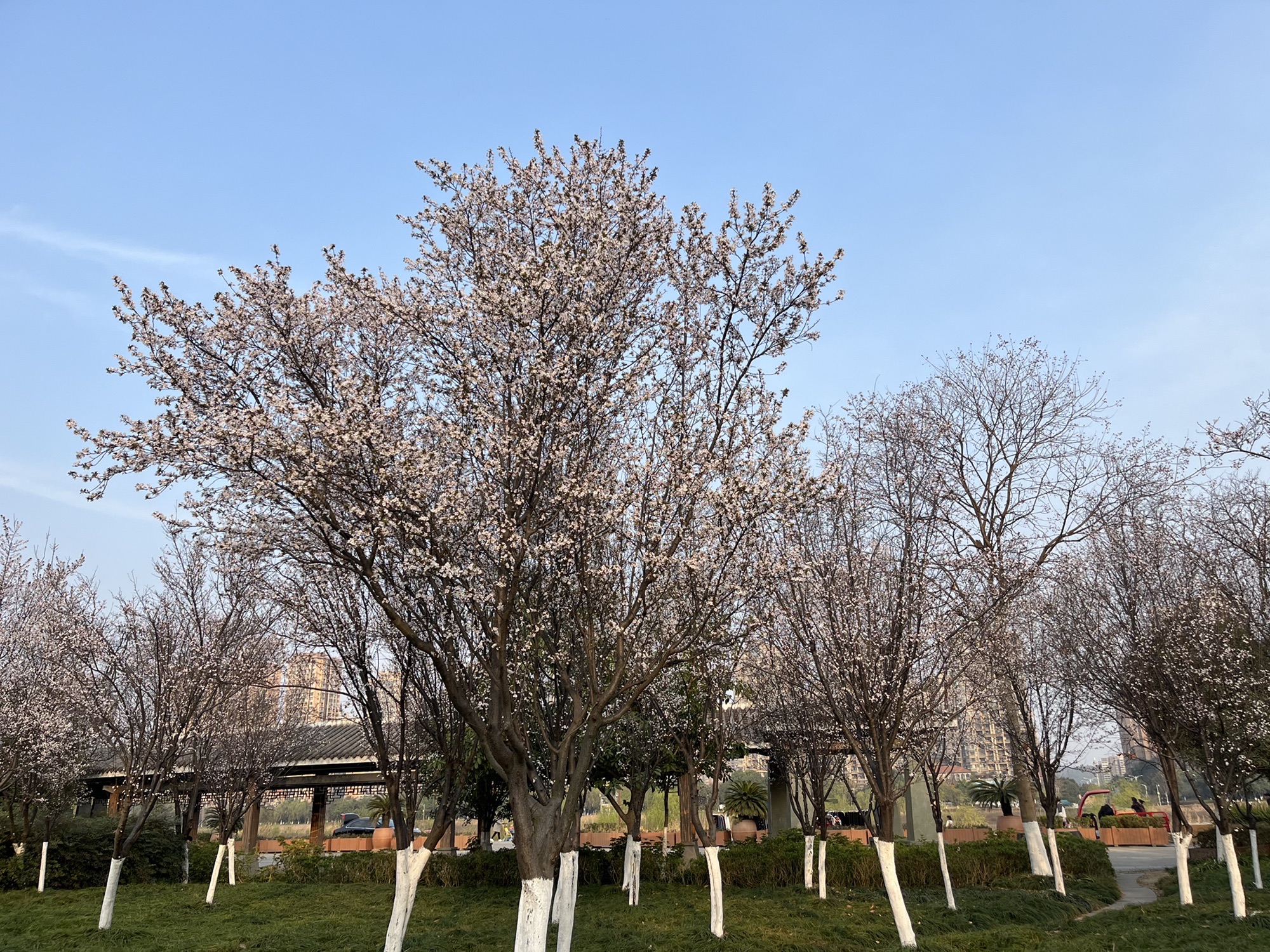 德阳市北公园