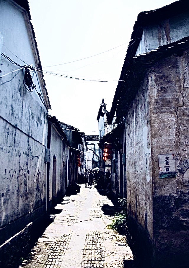 新叶古村旅行图片