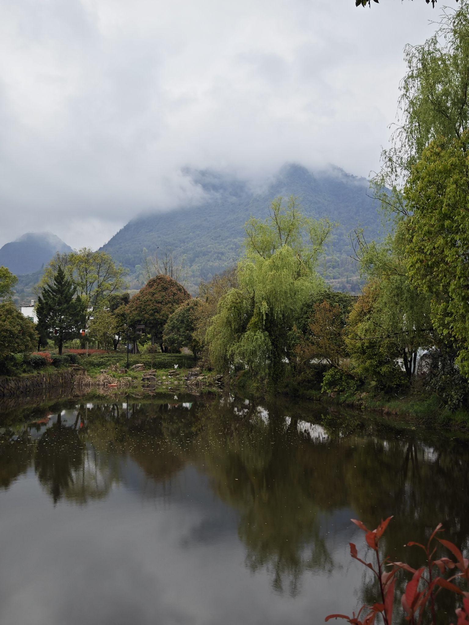 新叶古村旅行图片