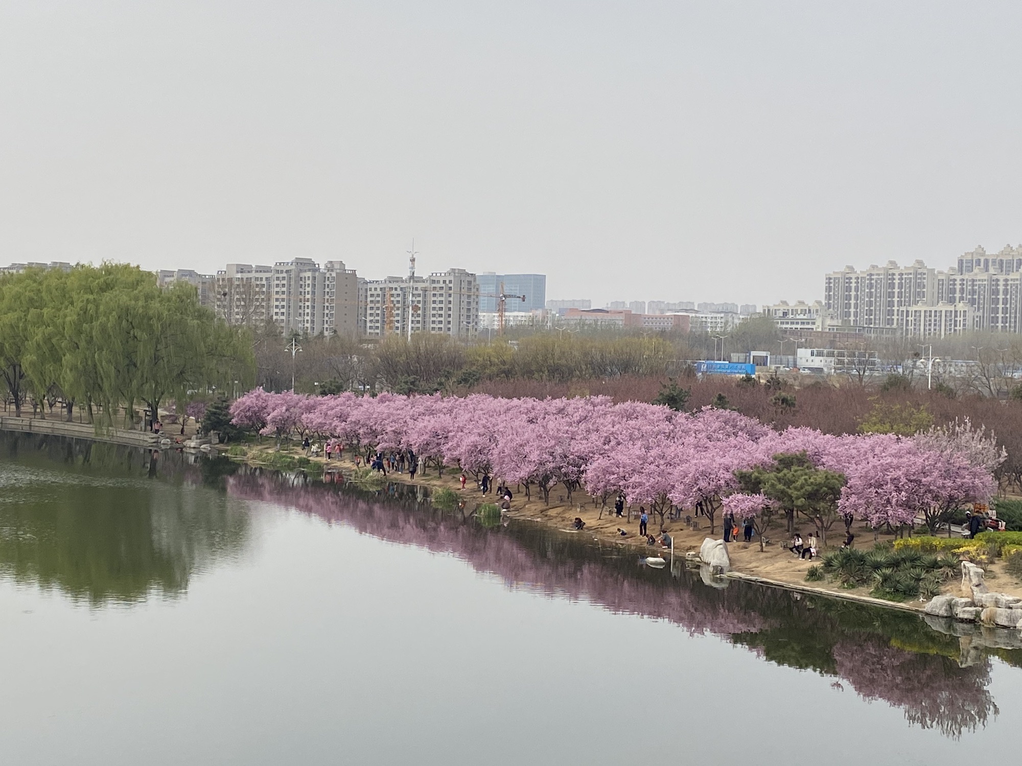 凤凰河公园