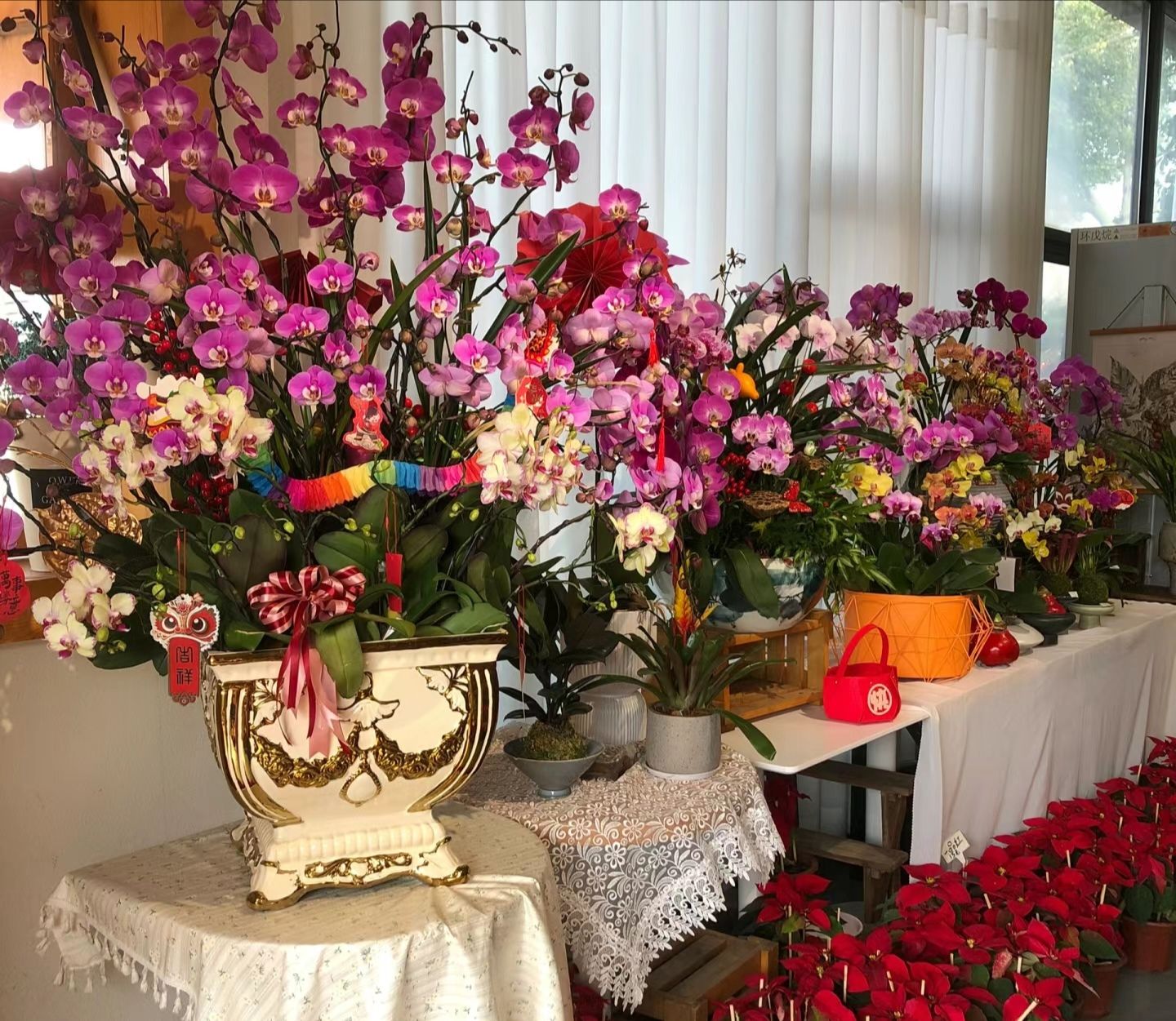 花卉世界
