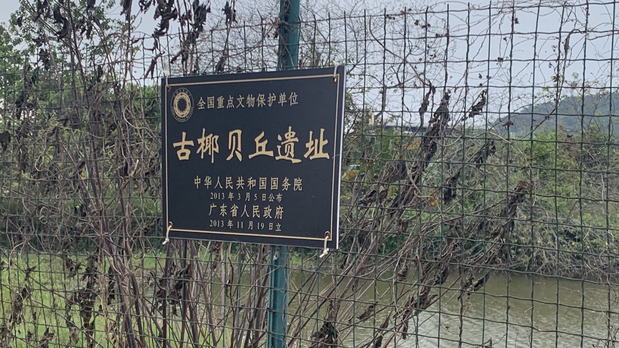 古椰贝丘遗址