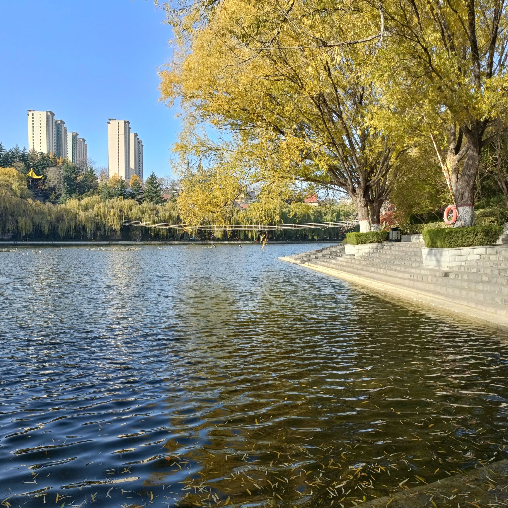 百丽园