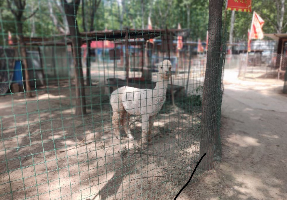 东花园旅行图片