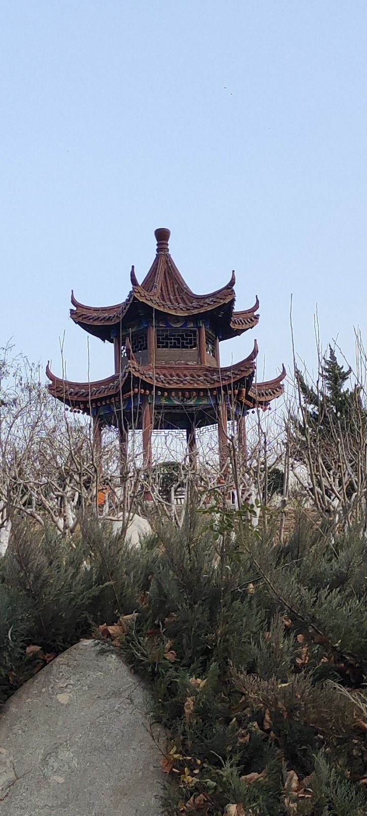 沱阳公园旅行图片