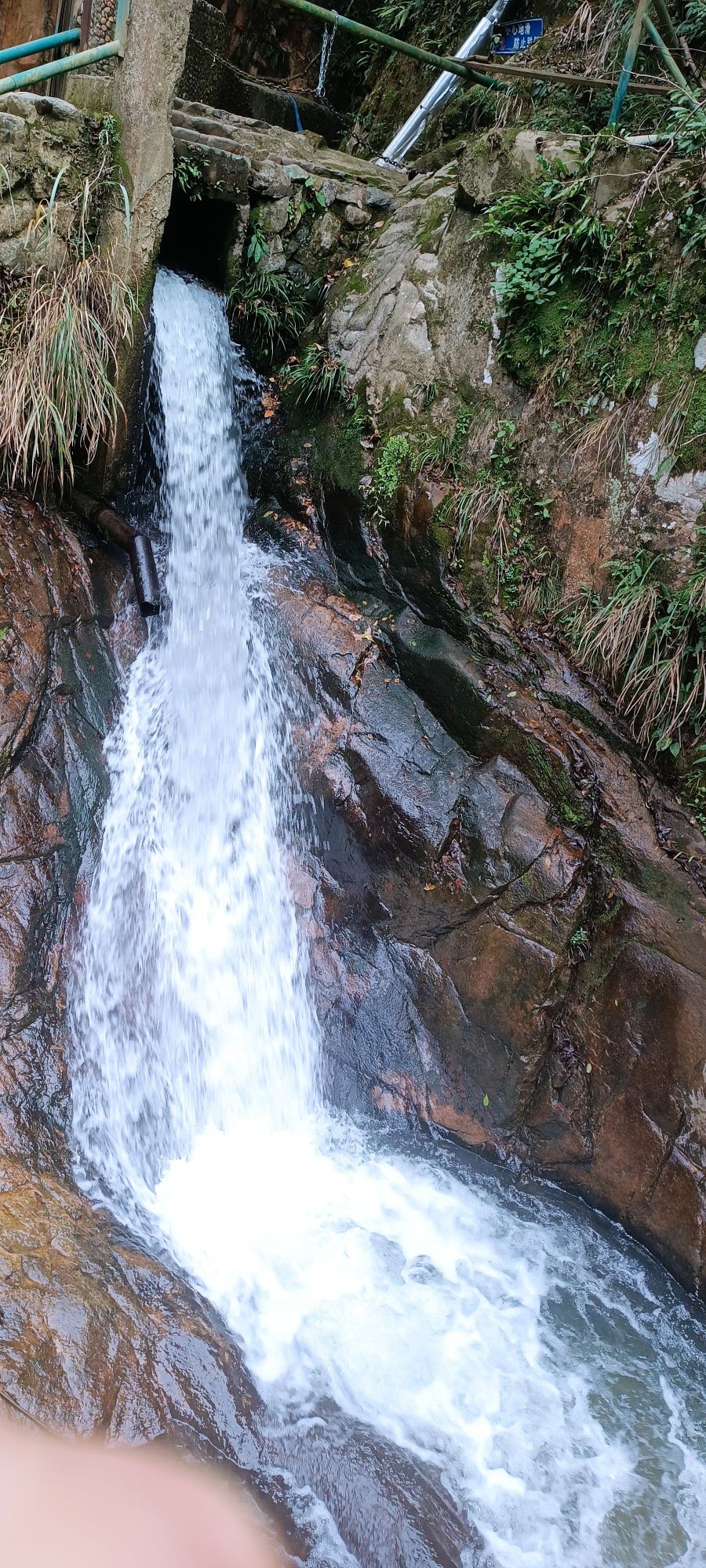 黄褚林温泉旅行图片
