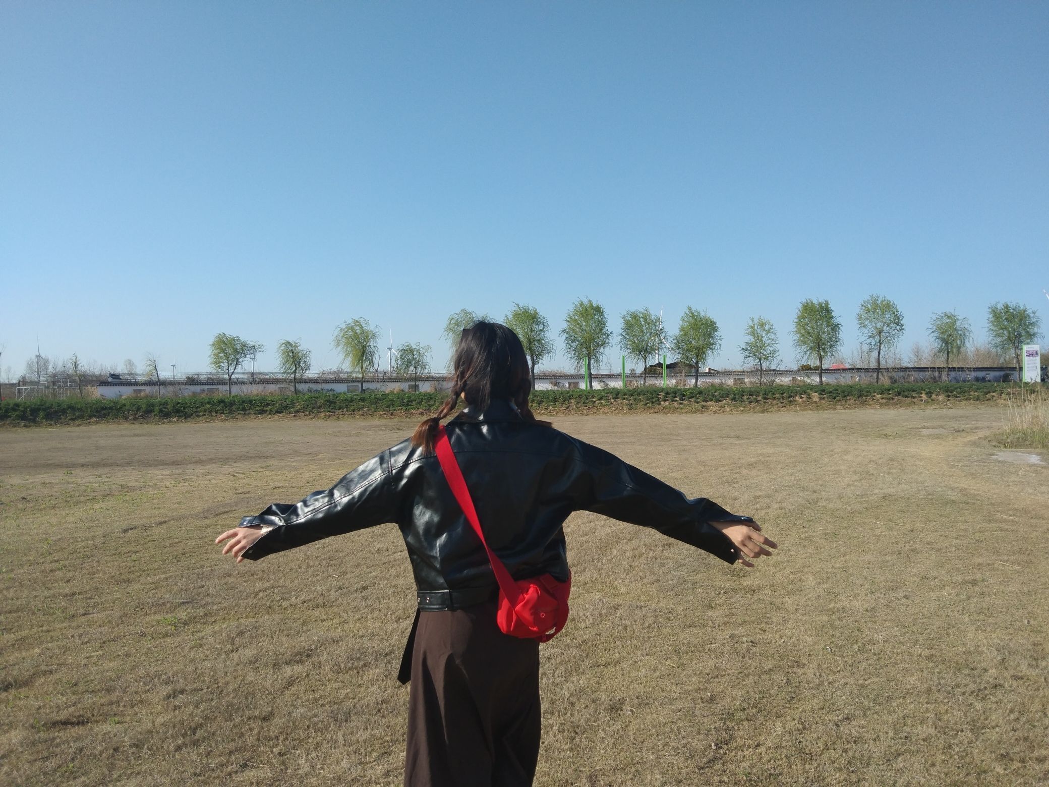 盐城黄尖牡丹园旅行图片