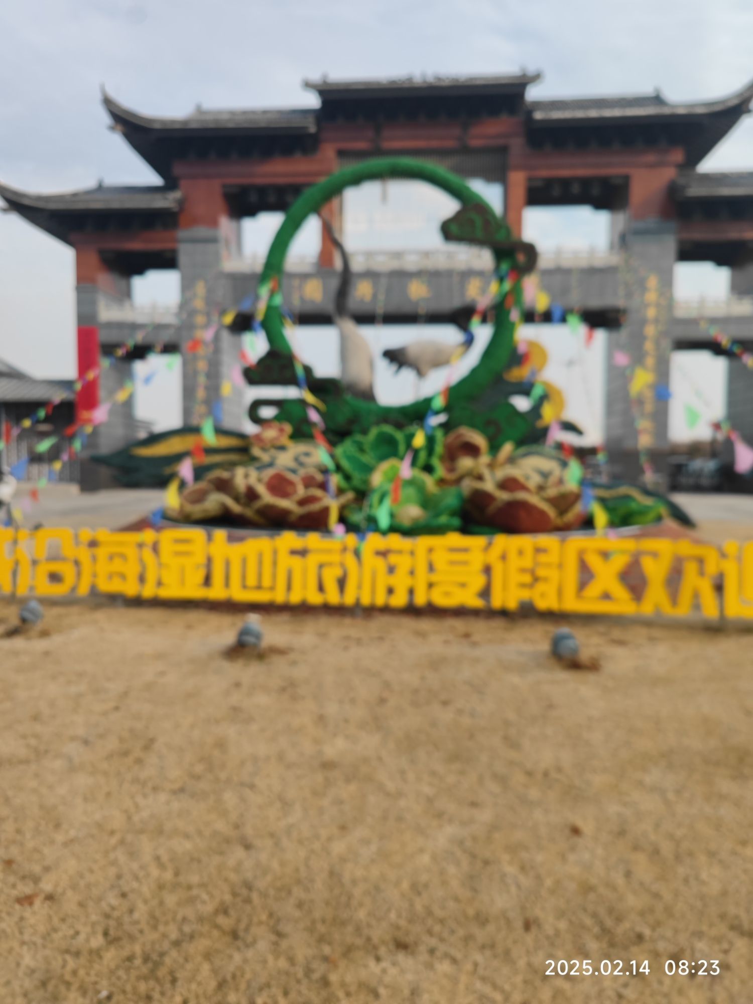 盐城黄尖牡丹园旅行图片