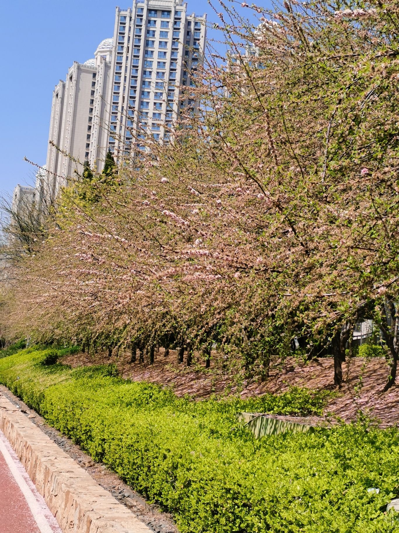 同泰广场