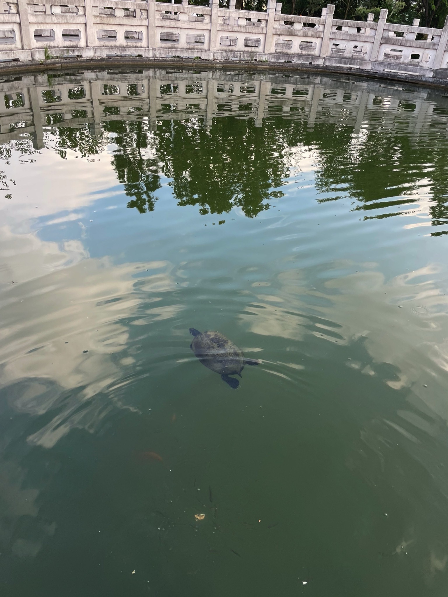翠屏公园旅行图片