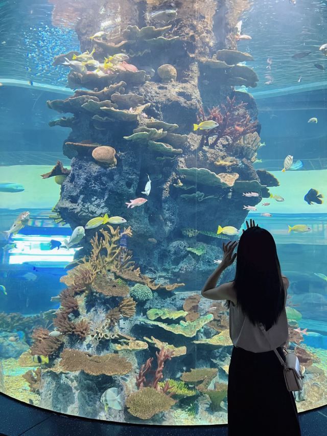 福州罗源湾海洋世界旅游度假区旅行图片