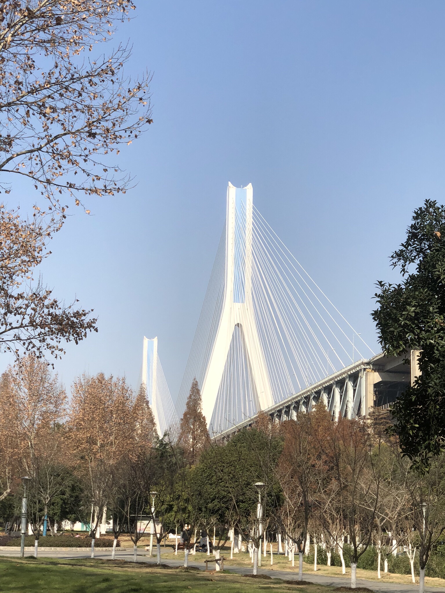 天兴洲大桥公园