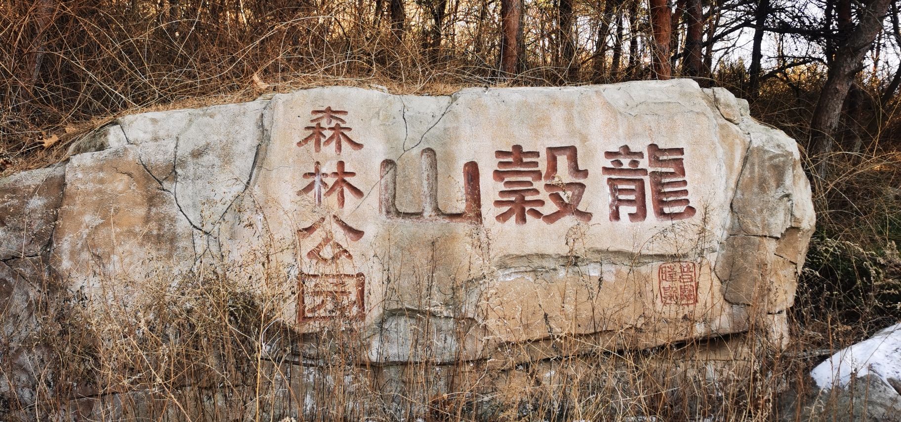 龙谷山森林公园
