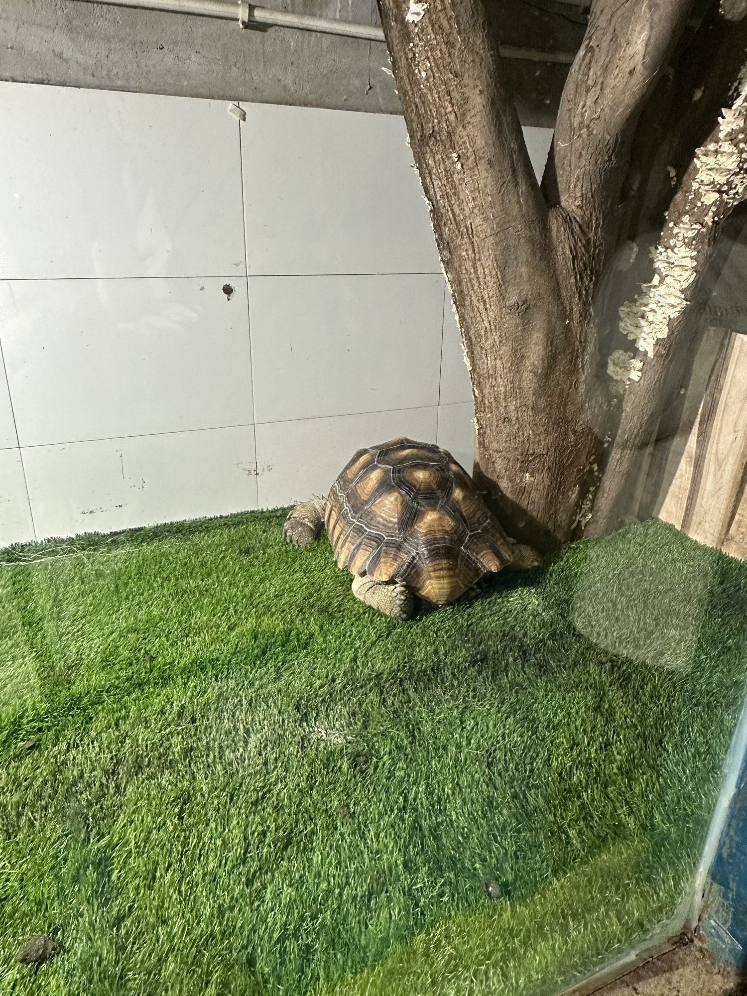 新乡海洋馆旅行图片