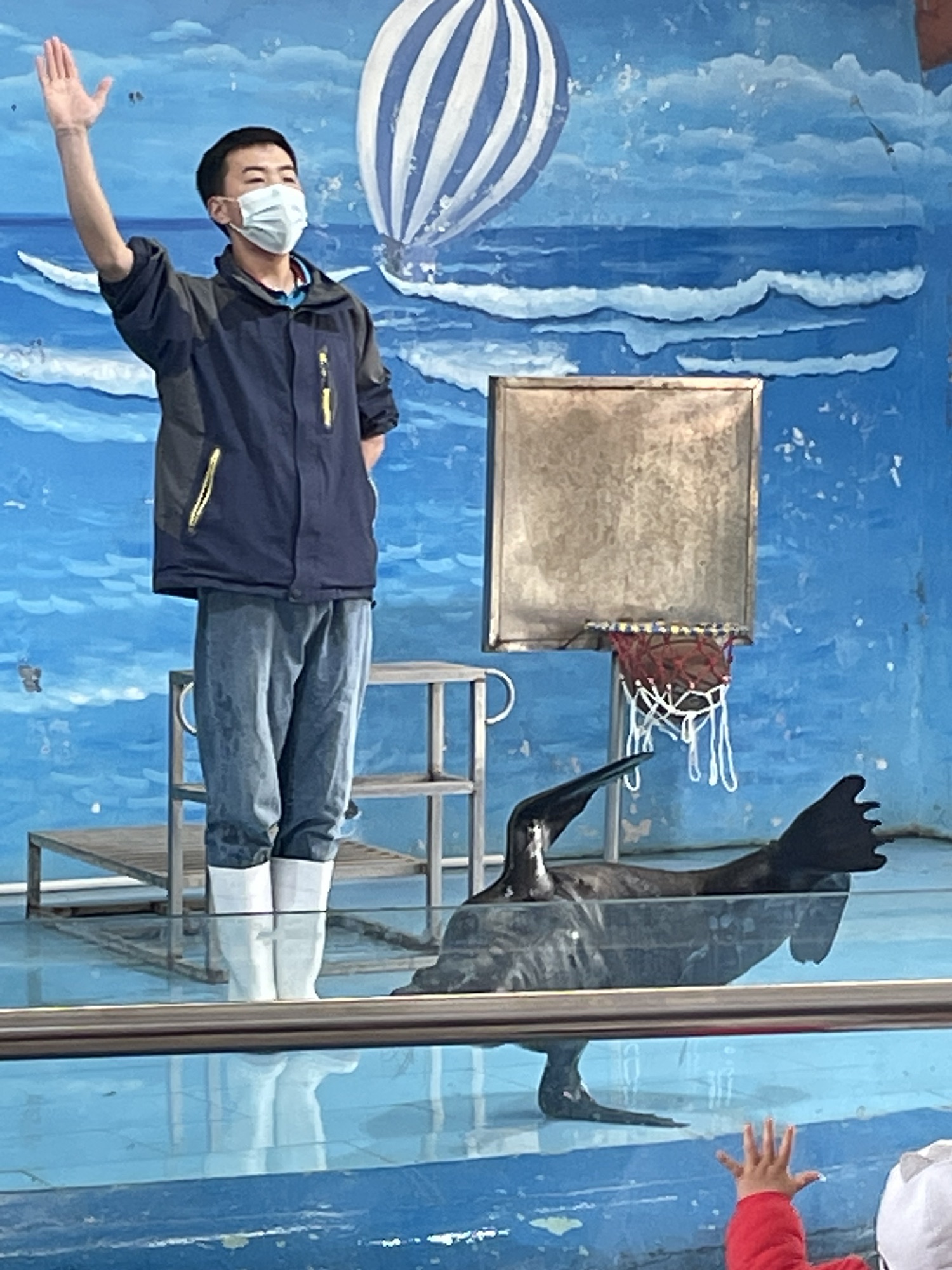 新乡海洋馆旅行图片