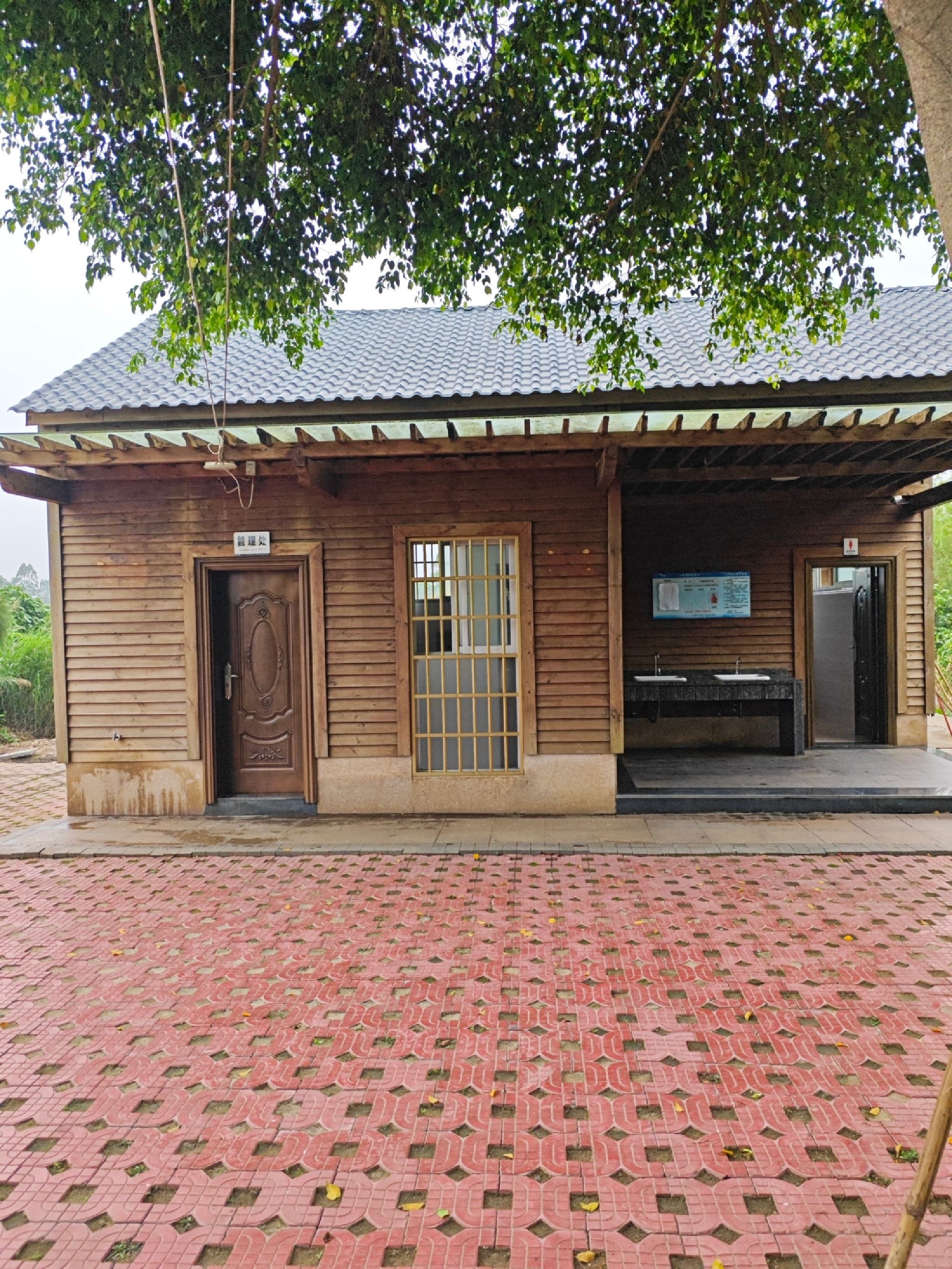 郊野温泉公园旅行图片