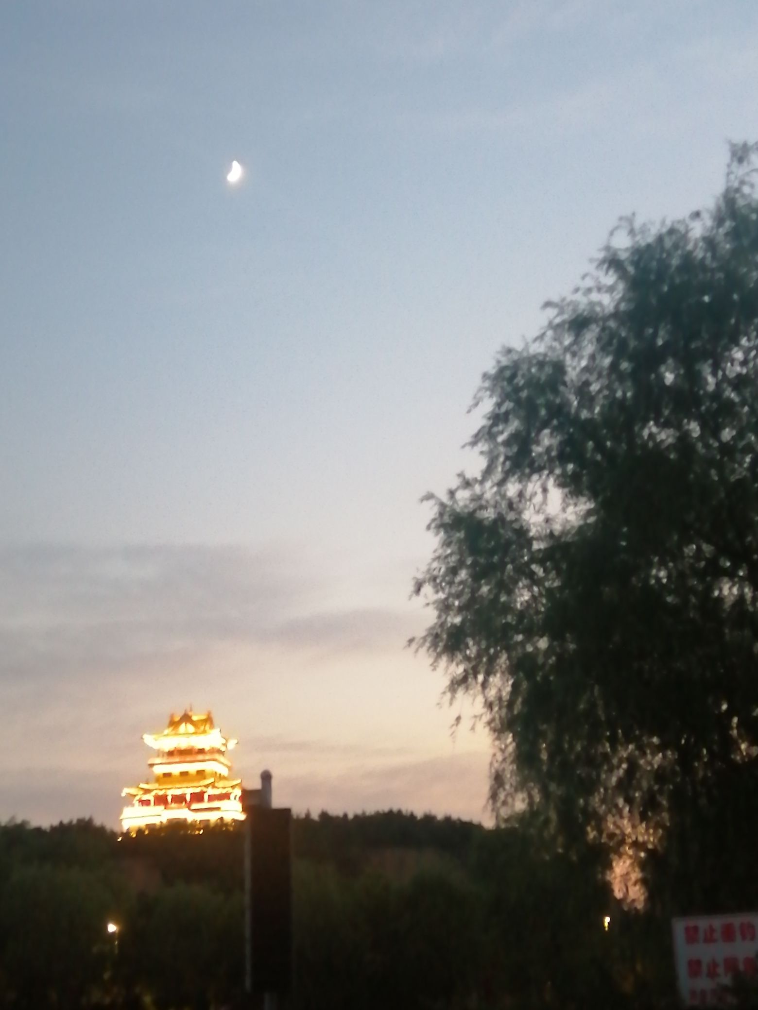 新阳广场旅行图片