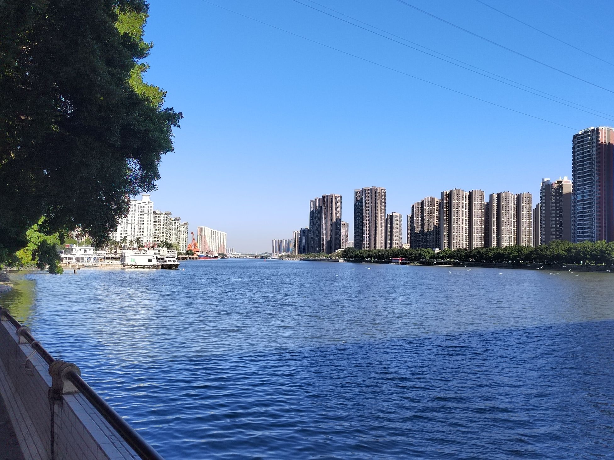 黄岐公园旅行图片