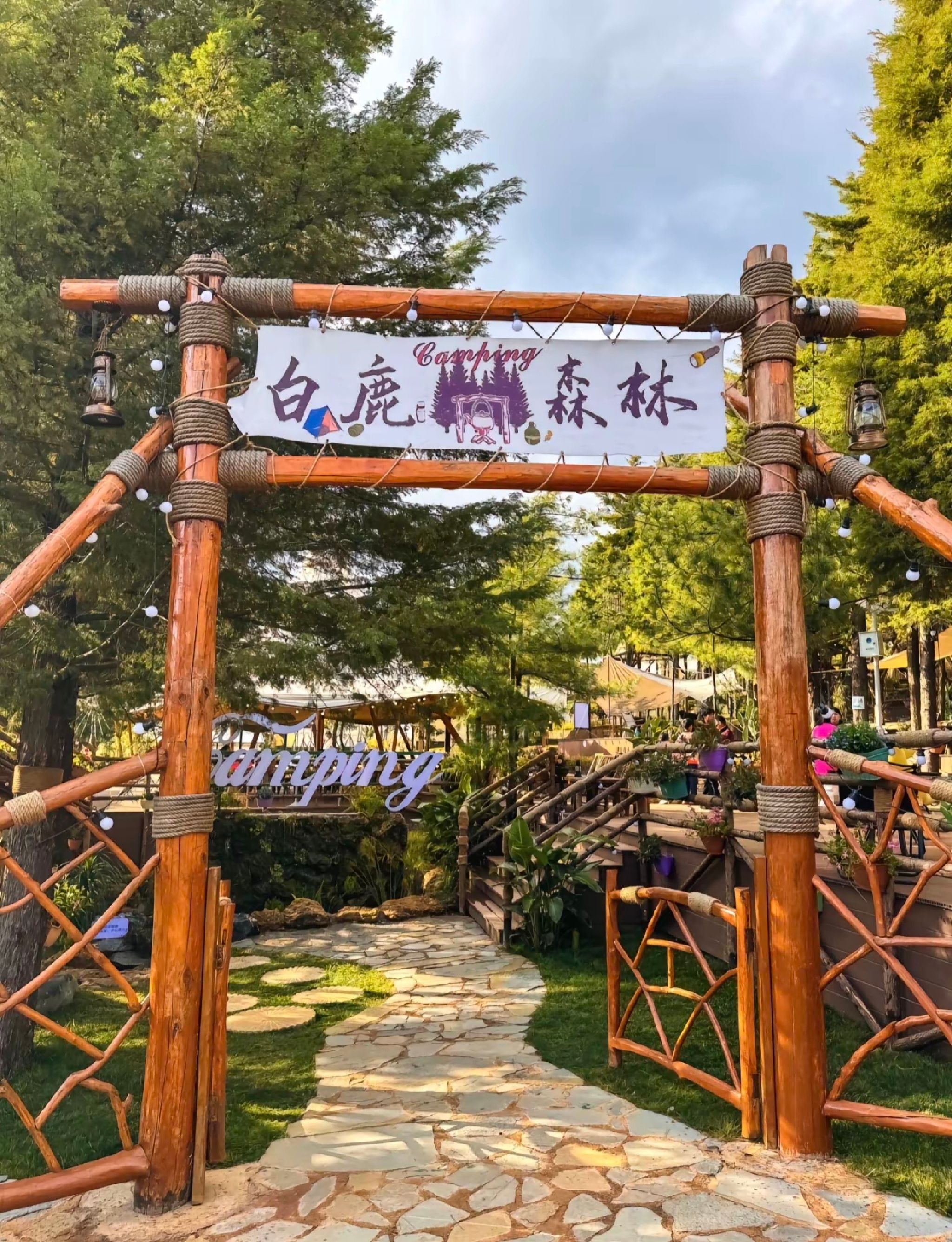白鹿森林公园旅行图片