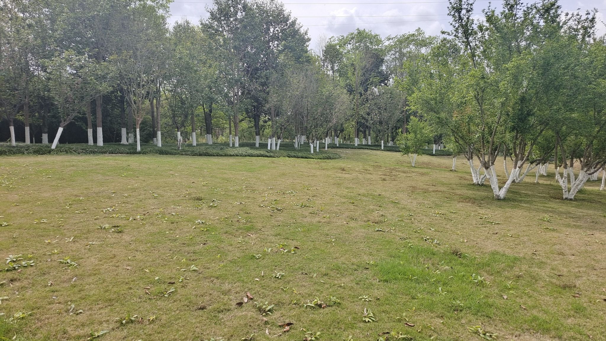 资阳市城市风景