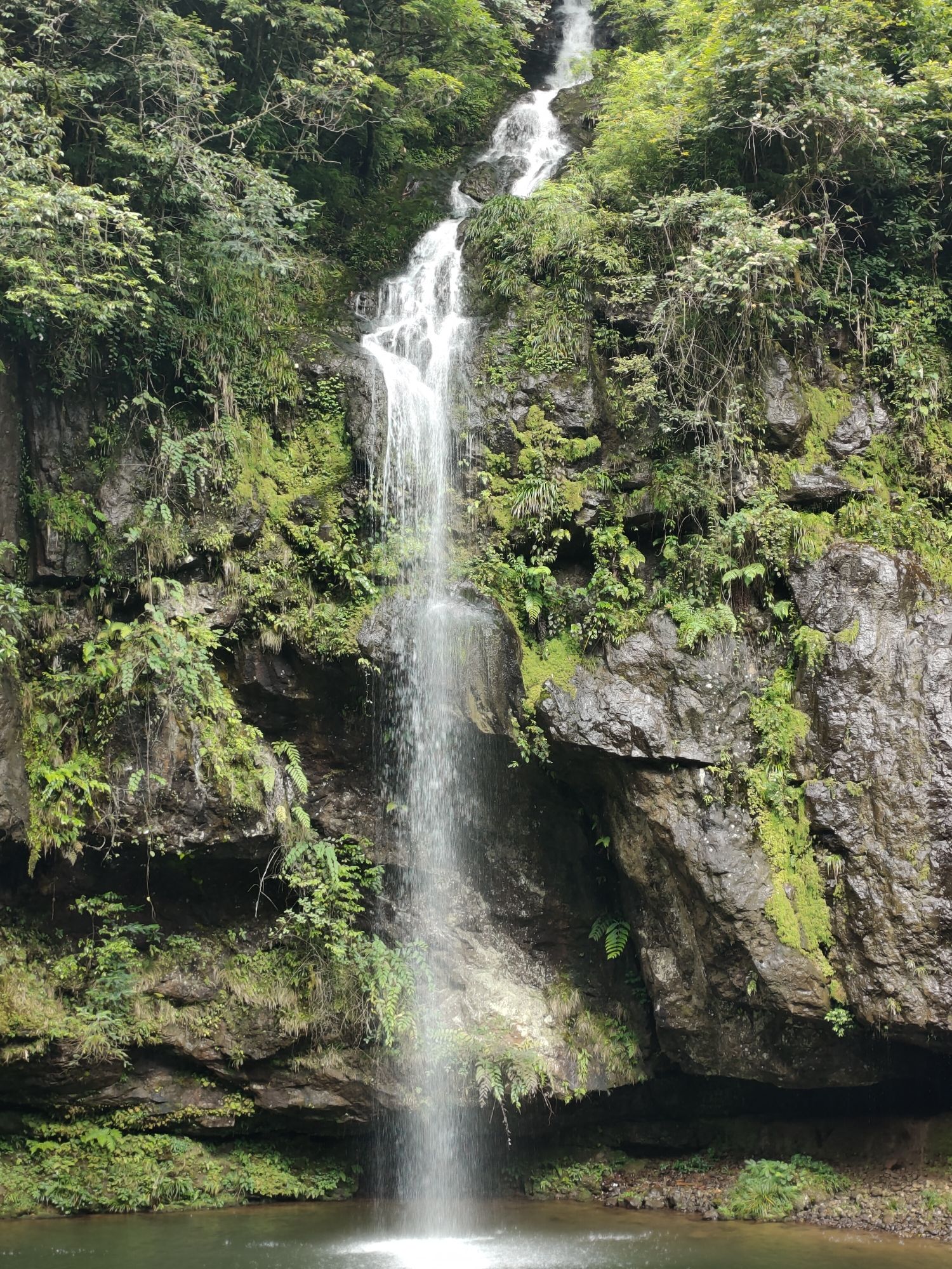 龙苍沟国家森林公园