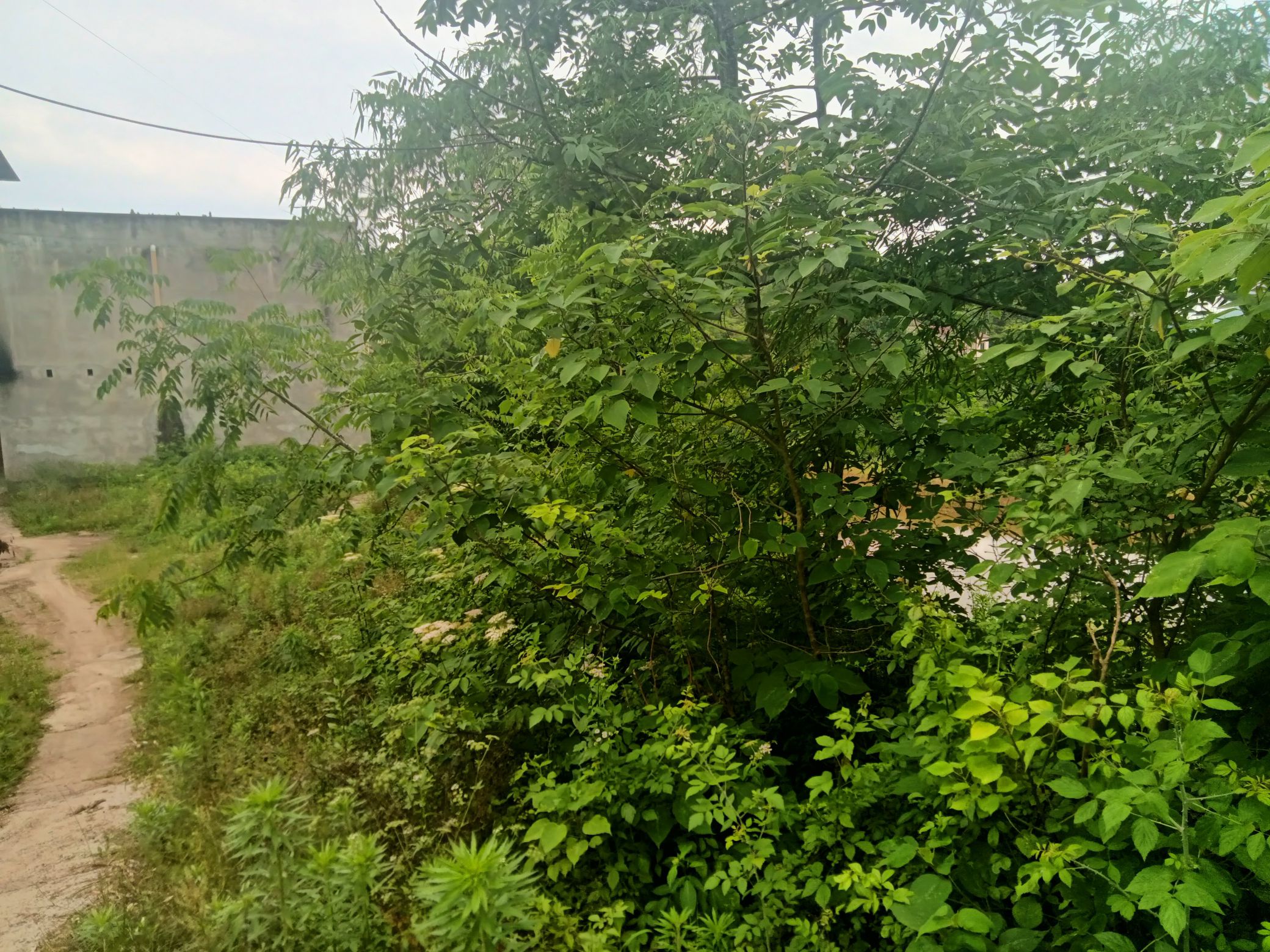都京山生态区