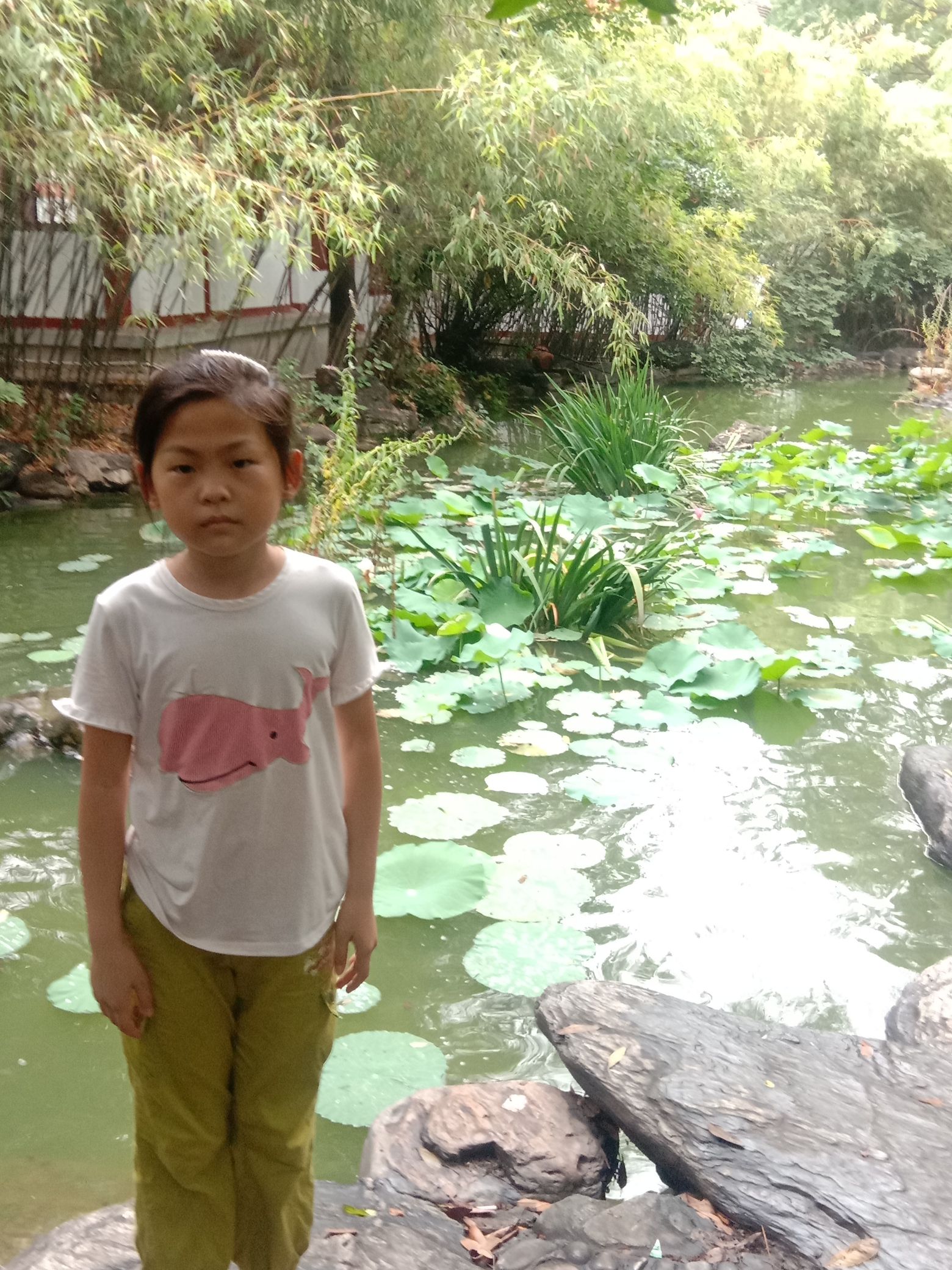 长虹公园旅行图片