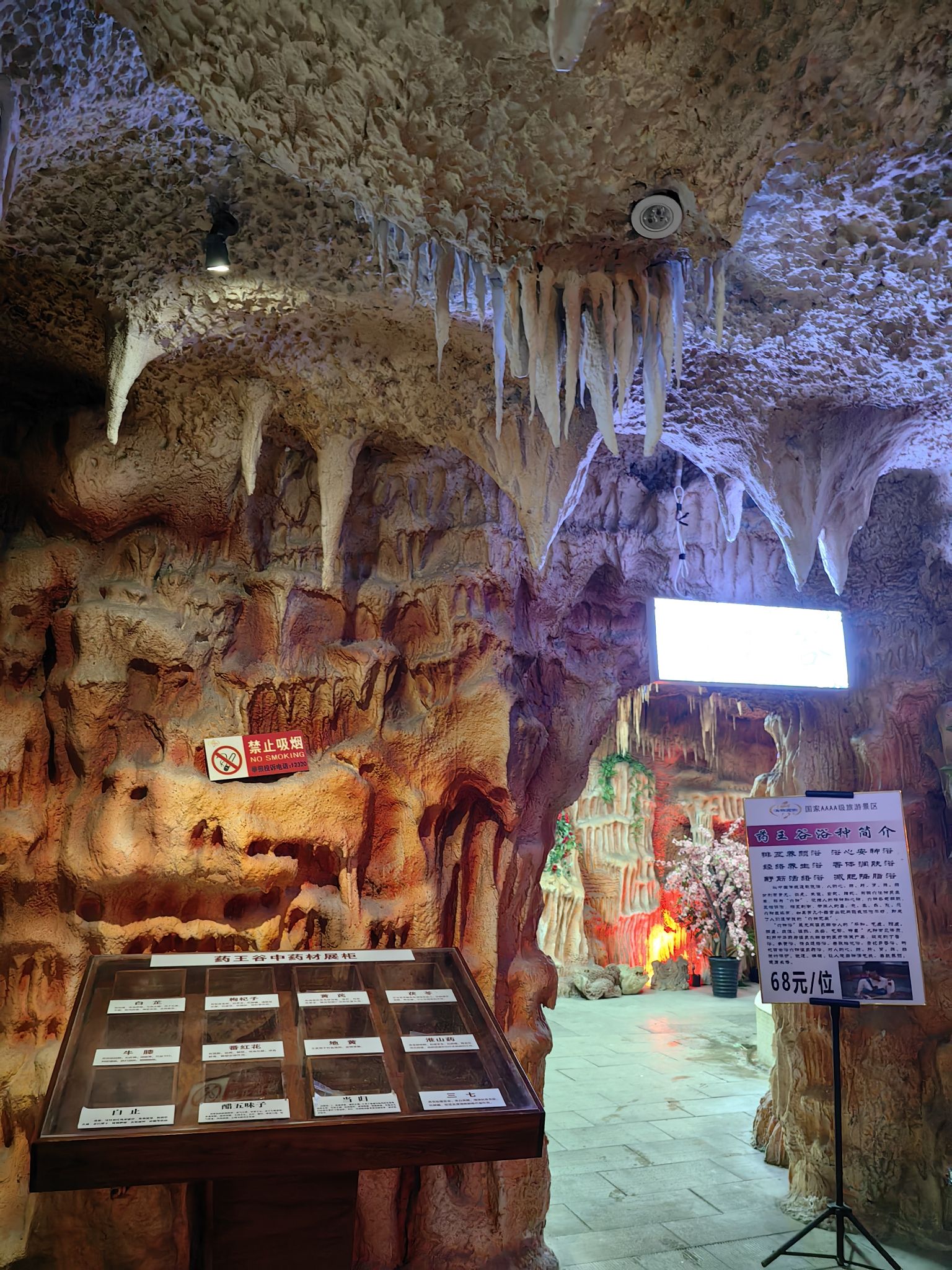龙脉温泉度假村