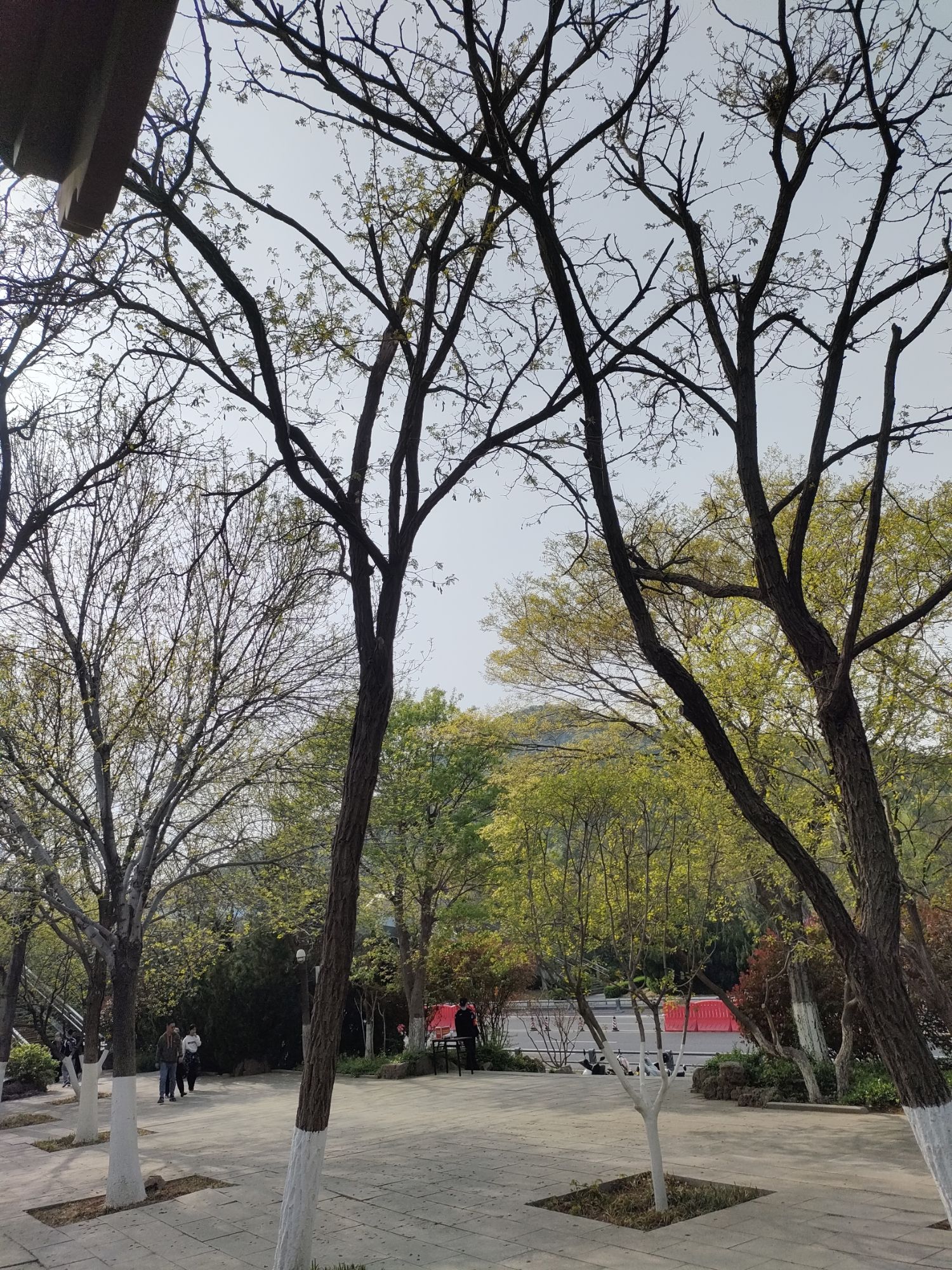 大千佛山景区佛慧山